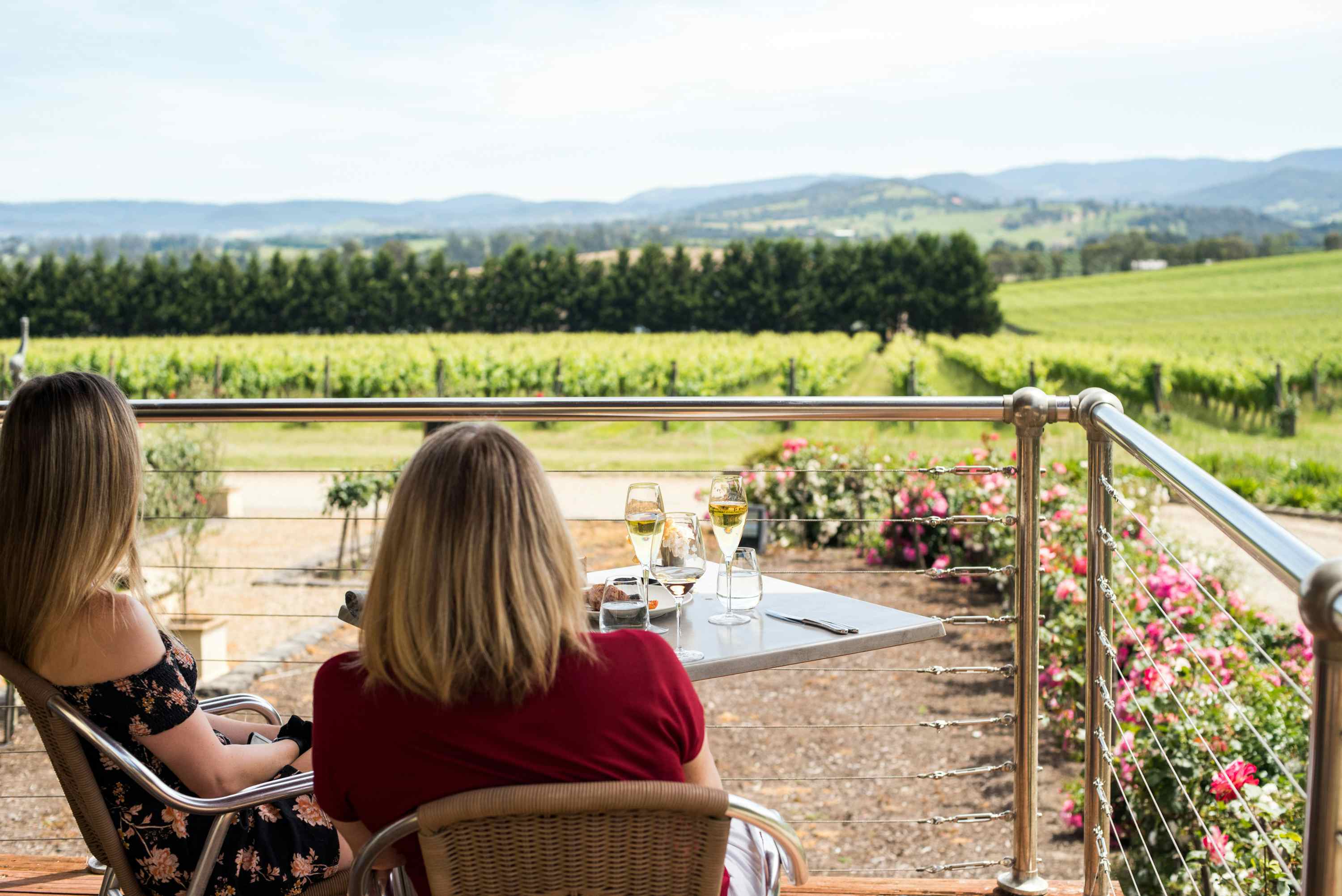 Tokar Estate Winery, Tokar Estate Winery1