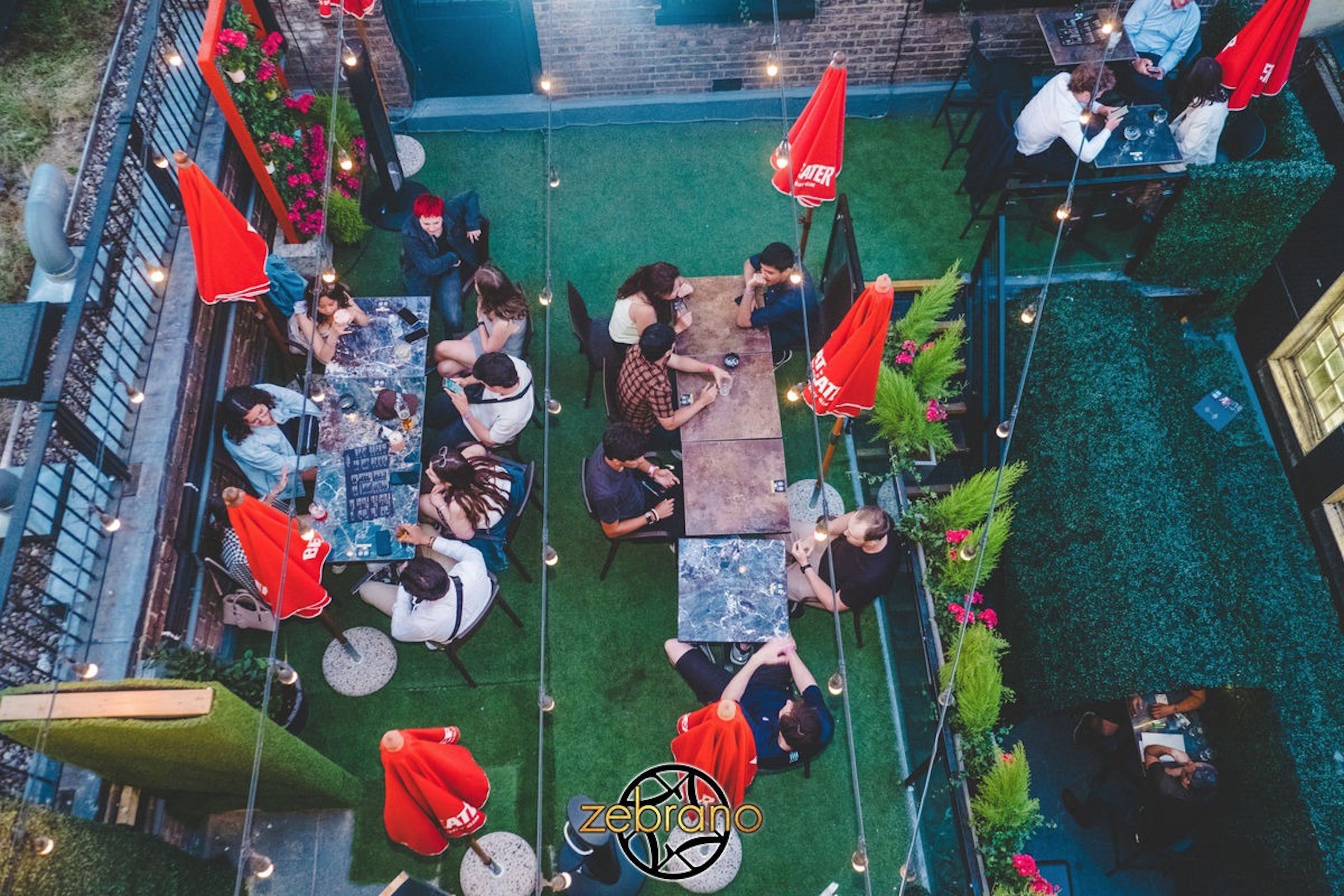 zebranos christmas party london