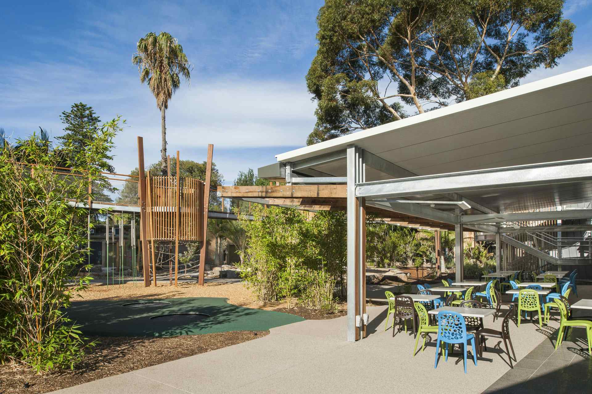 The Bamboo Forest, Adelaide Zoo image 3