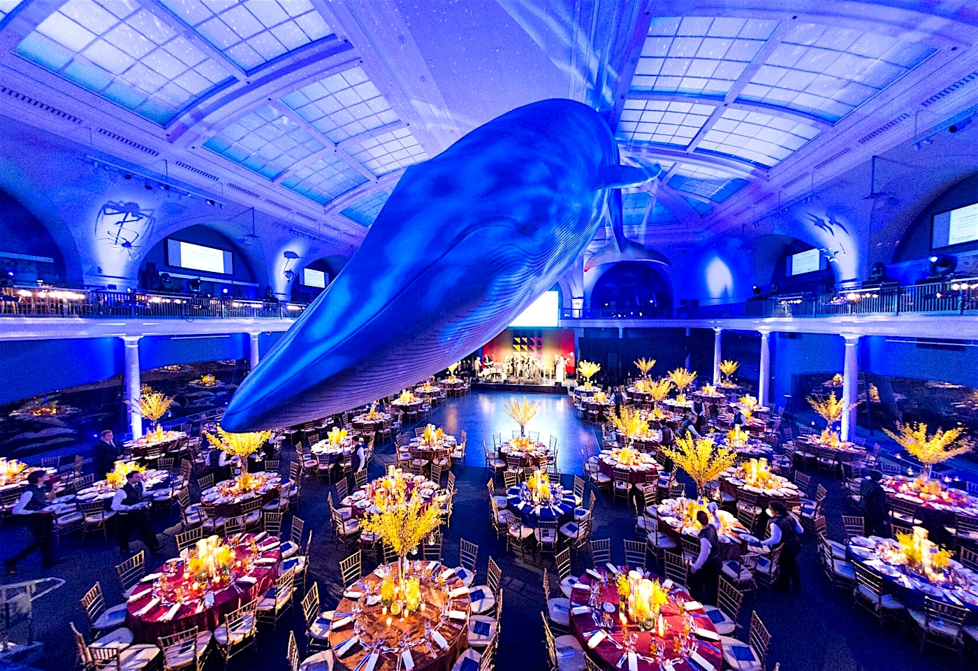 American Museum of Natural History New York venue hire