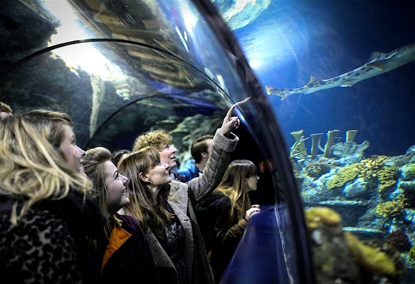 Bristol Aquarium Unique venues 1
