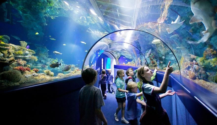 A family-friendly Bristol venue: Bristol Aquarium1