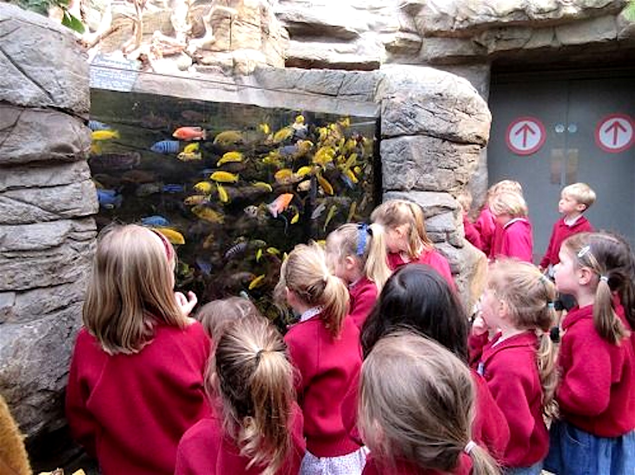 Bristol Aquarium Venue hire 3