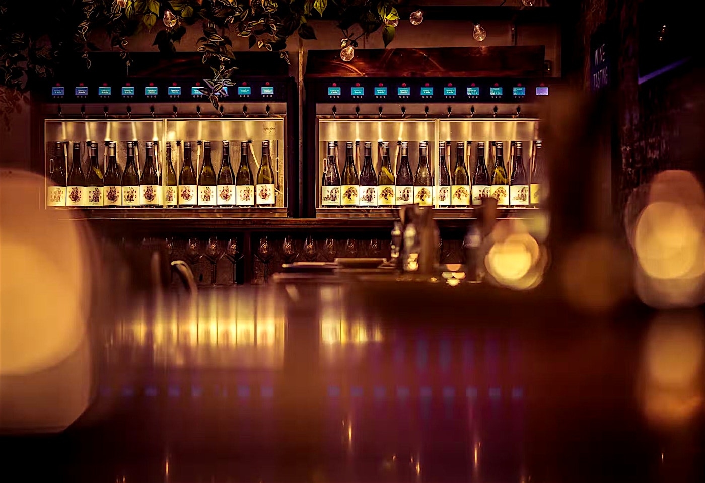 A Charlotte Street bar to get your wine game on: Vagabond image 3