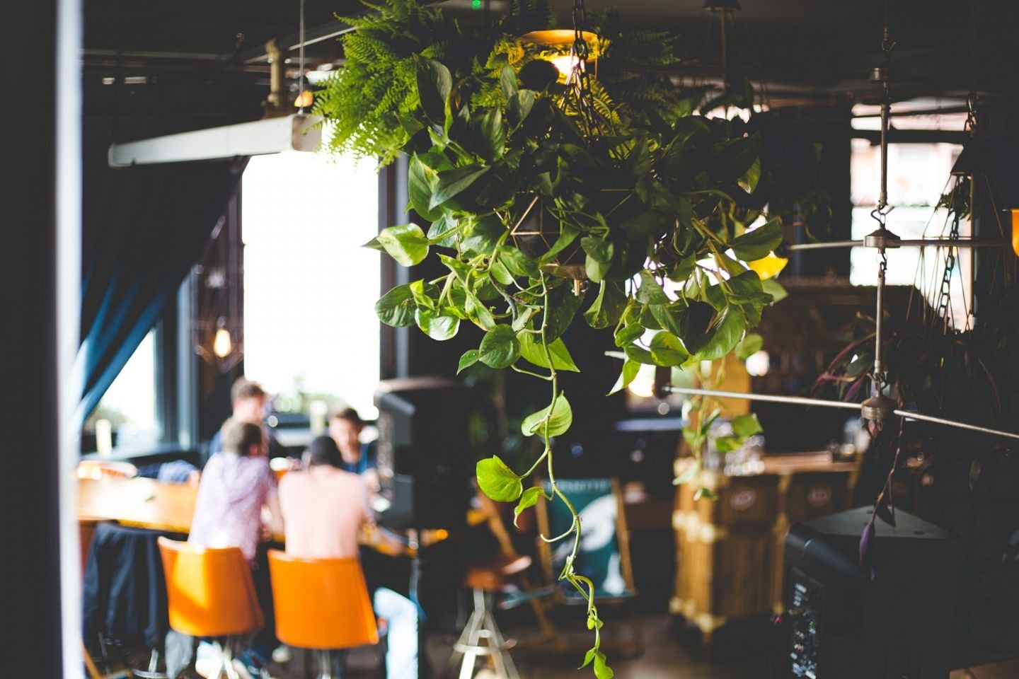 Cottonopolis manchester restaurant 2