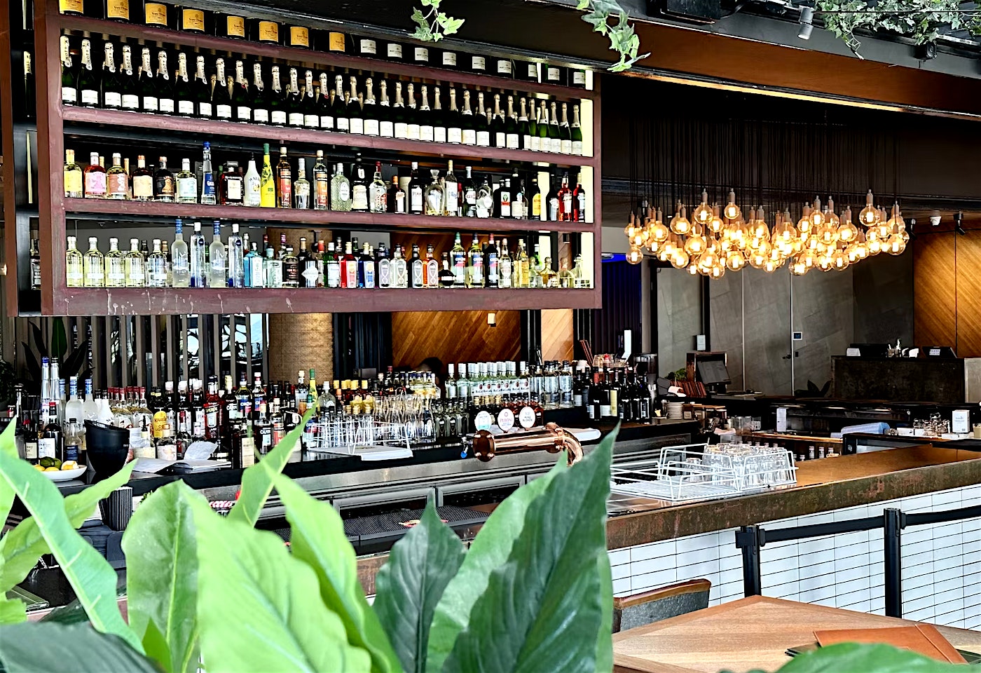 Hurricane's Bar & Grill | View of Bar | Venue Hire Gold Coast | 2