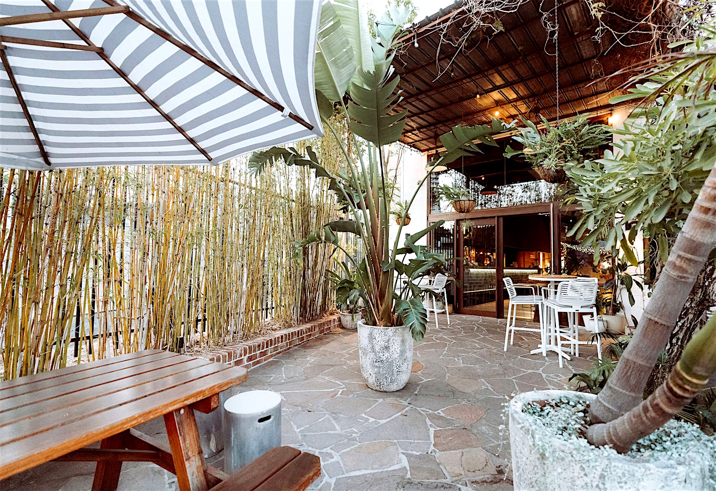 Exclusive Hire, Lightspace image 3