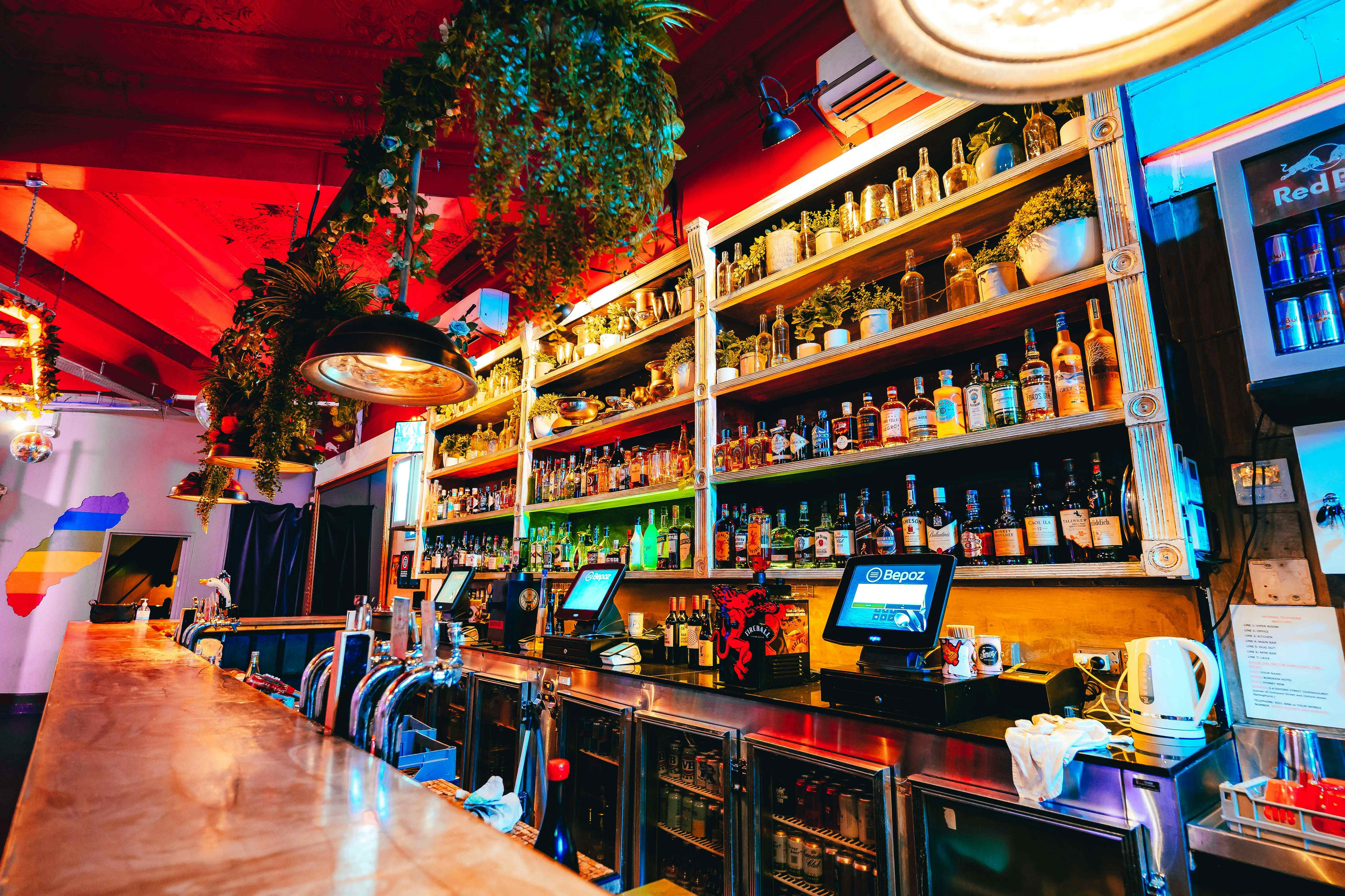 Main Bar, Burdekin Hotel image 3