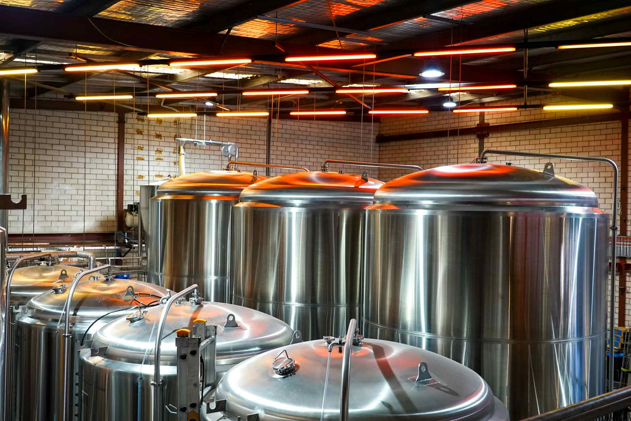 Mezzanine, Yulli's Brews image 3