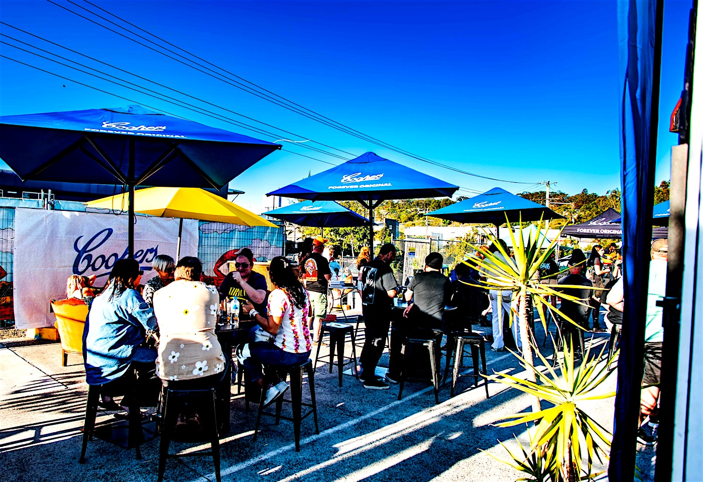 Carpark Party, Mo's Desert Clubhouse1