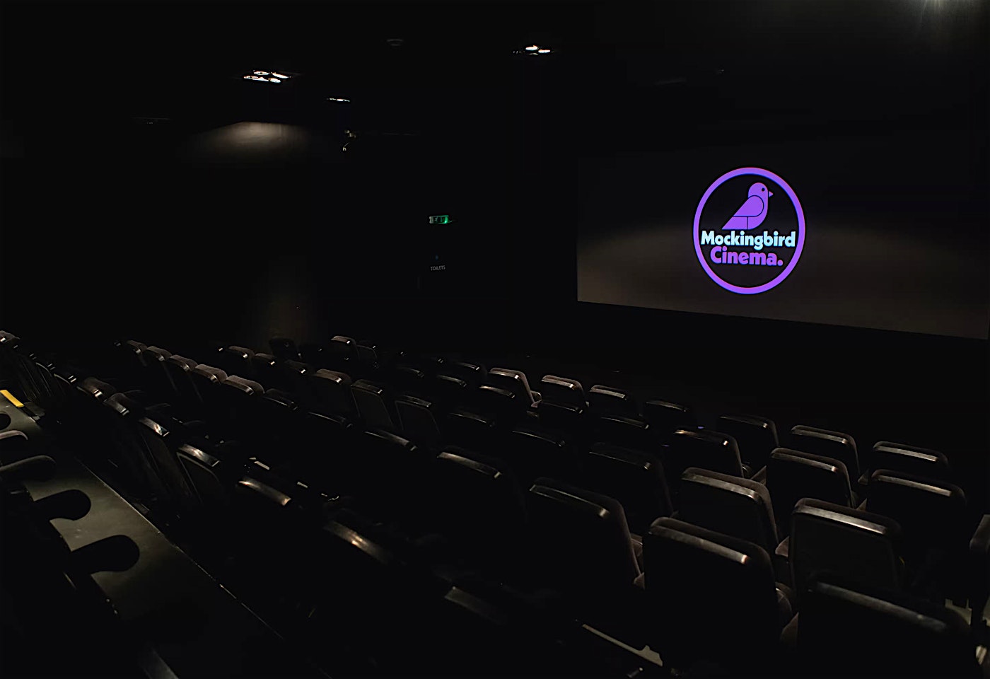 Mockingbird Cinema Birmingham Screening 1