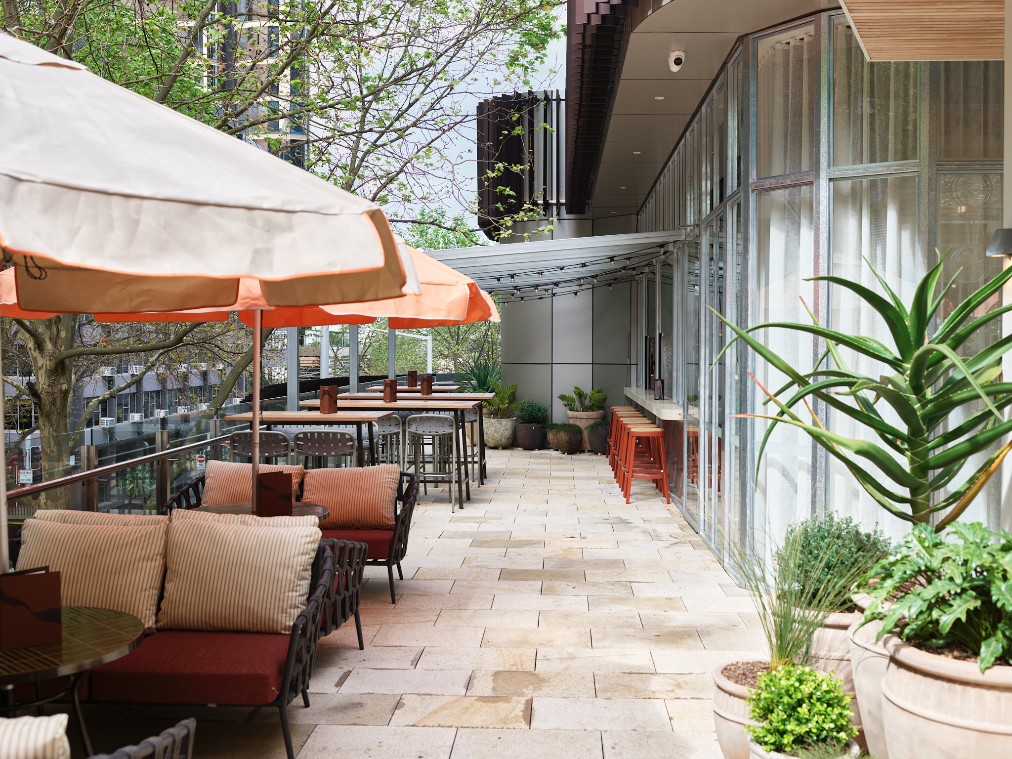 Mount Terrace, Rafi Sydney image 3