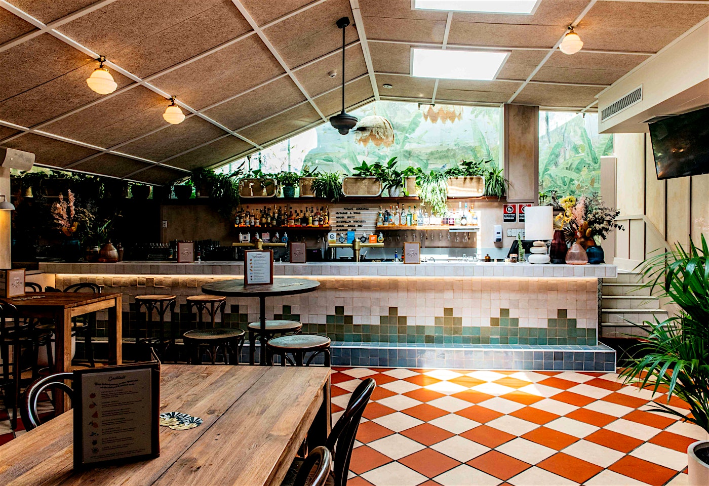 Phylli's Exclusive, Forrester's image 2