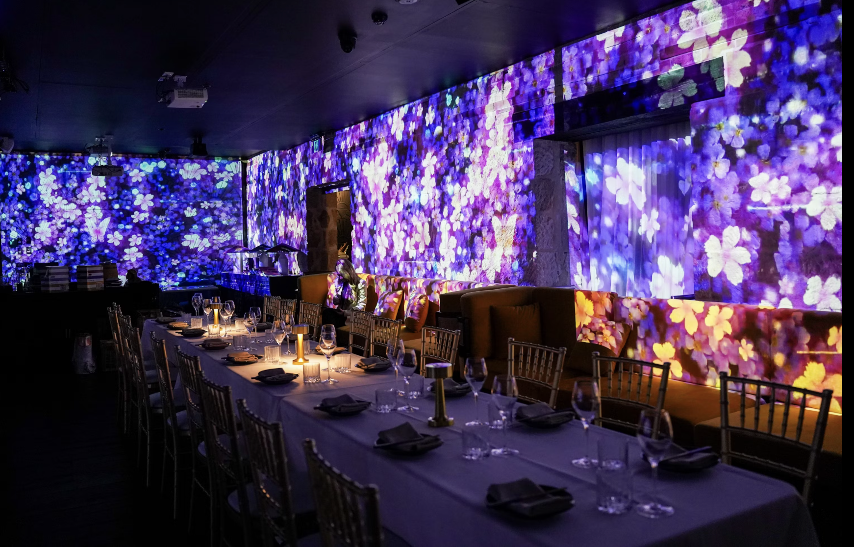 Immersive Dining Experience, Luna Lu image 2