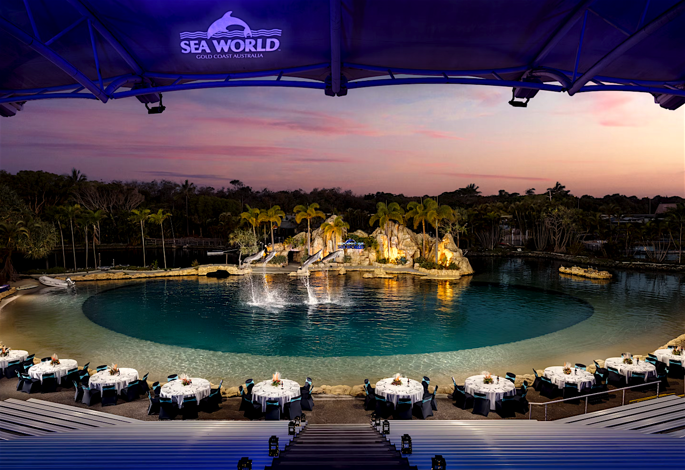 Dolphin Beach, Sea World image 3