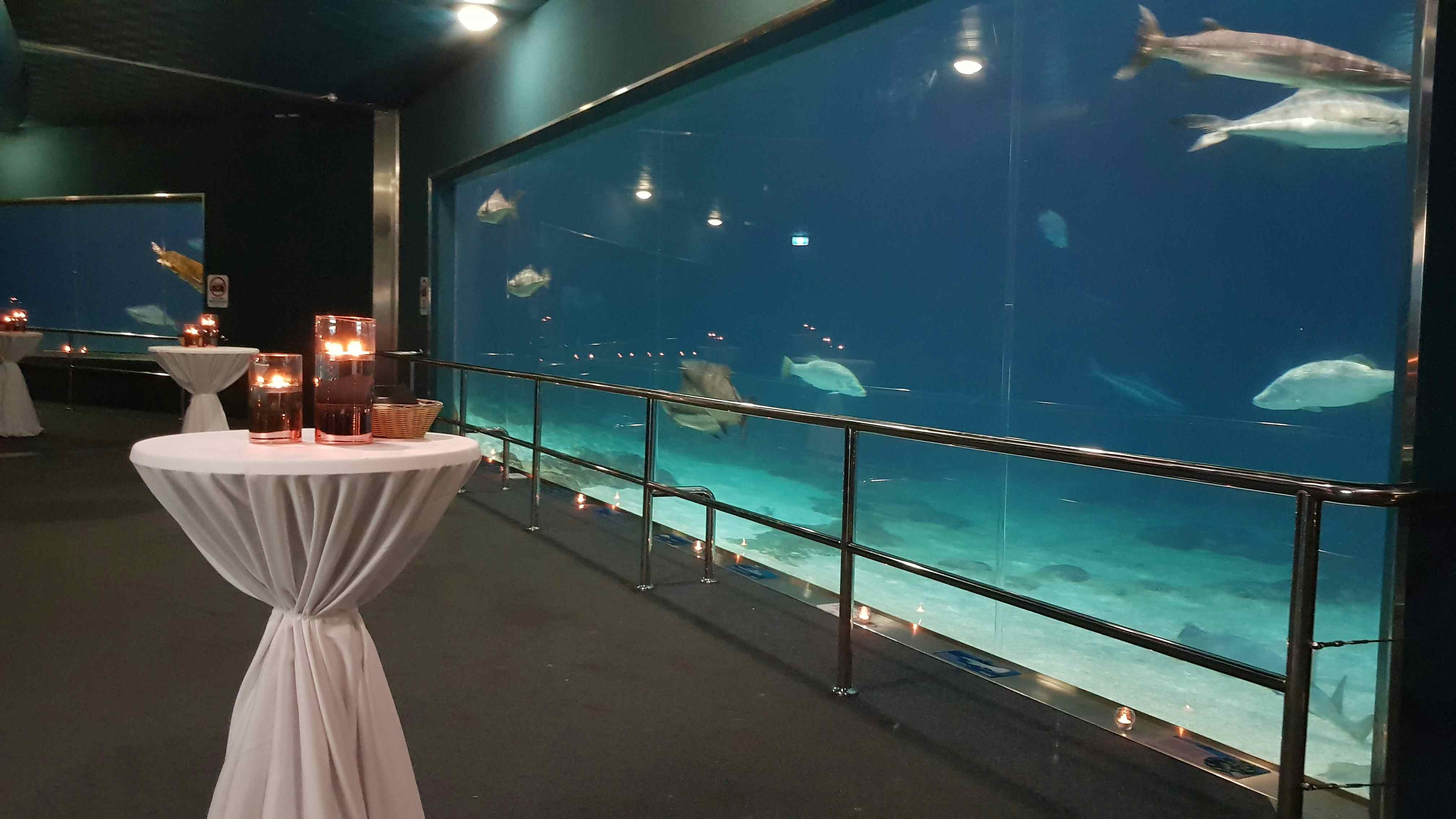 Sea World | Shark Bay | Venue Hire Gold Coast | 3