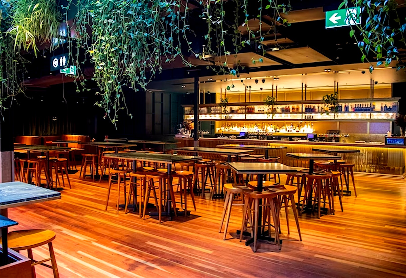 The Backline, Sound Garden image 3