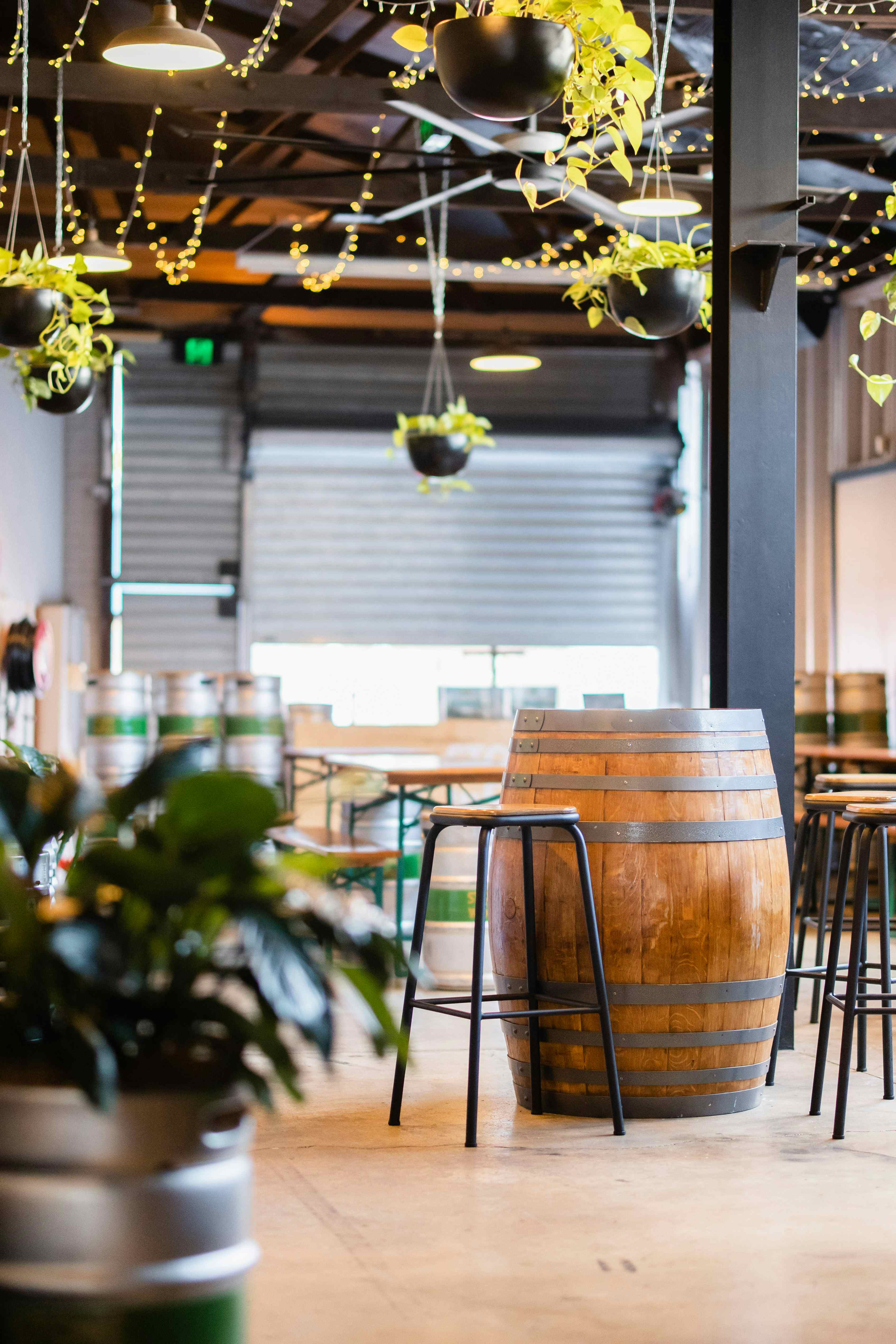 Trails Bier Hall, Stone & Wood Brisbane image 3