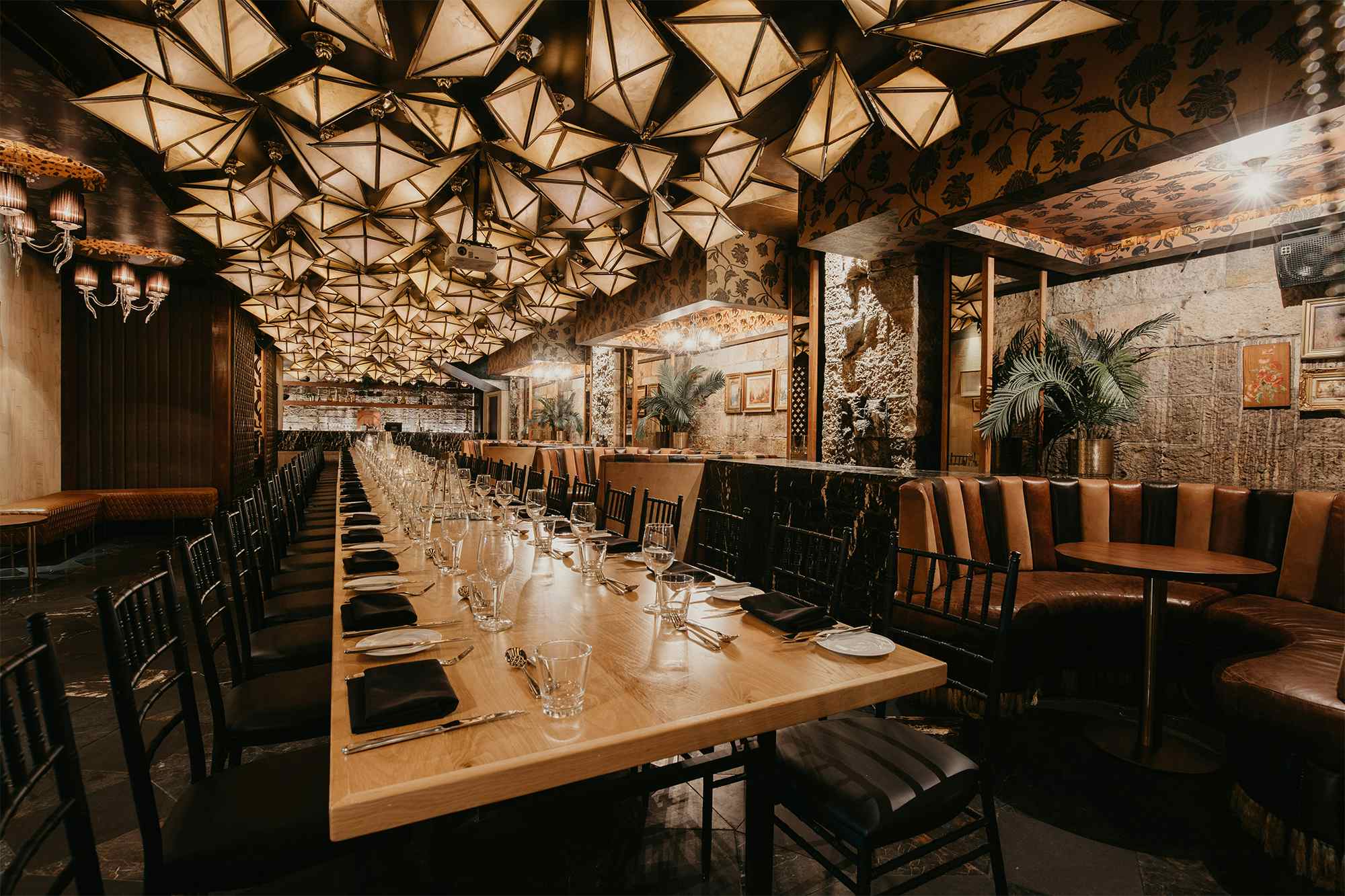 The Cellar, Cloudland image 2