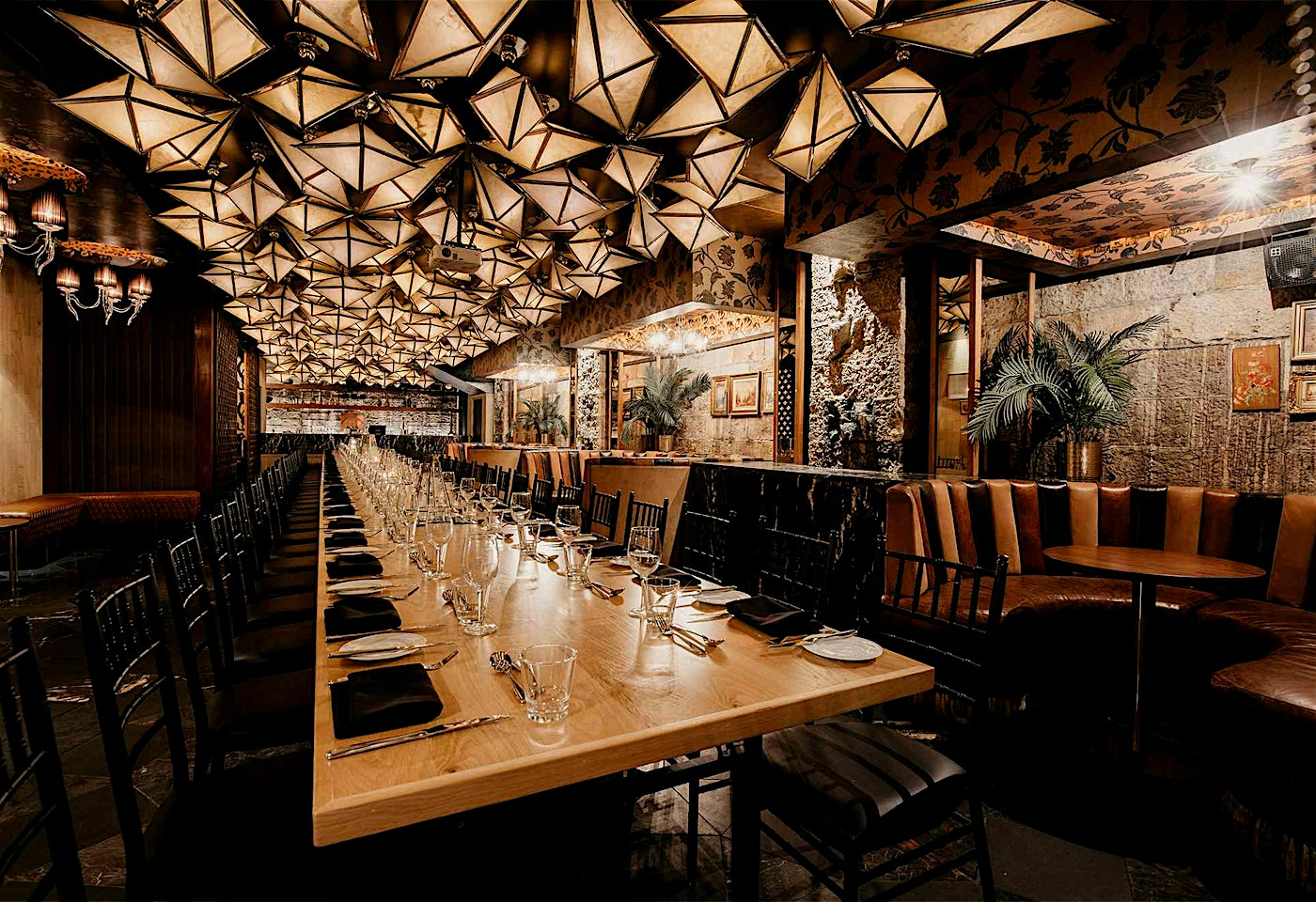 The Cellar, Cloudland image 2