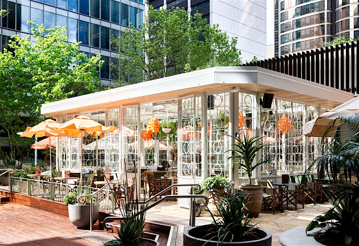 The Arbour, RAFI Sydney image 2