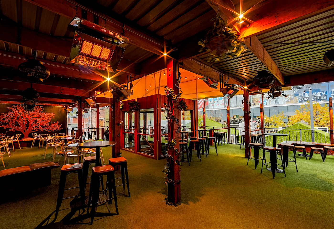 Rooftop, The Emerald Peacock image 2