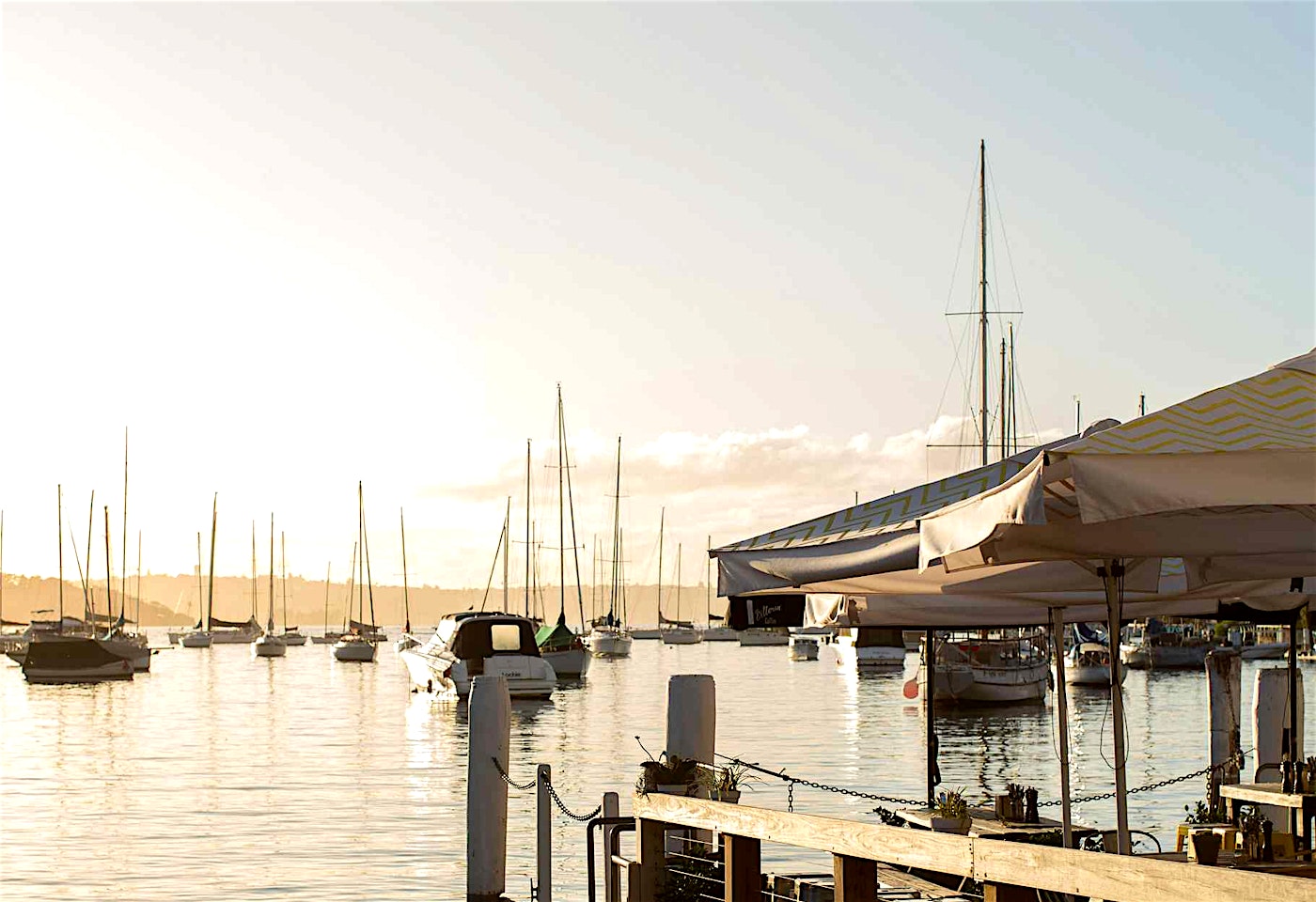 The Flying Bear Deck, Foys Kirribilli1