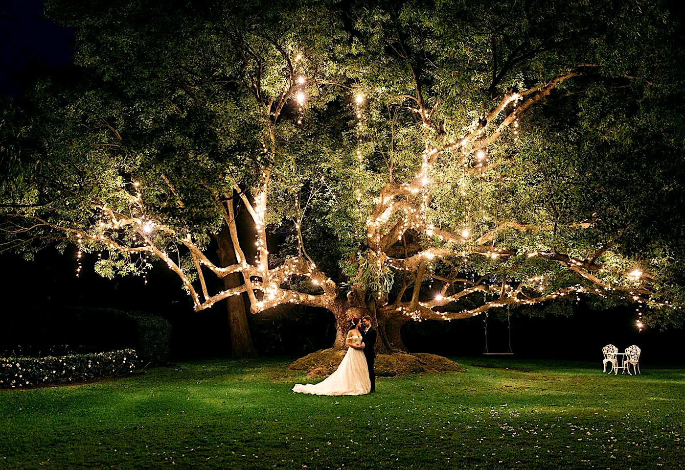 The Tree, Braeside at Gin House Creek Estate image 2