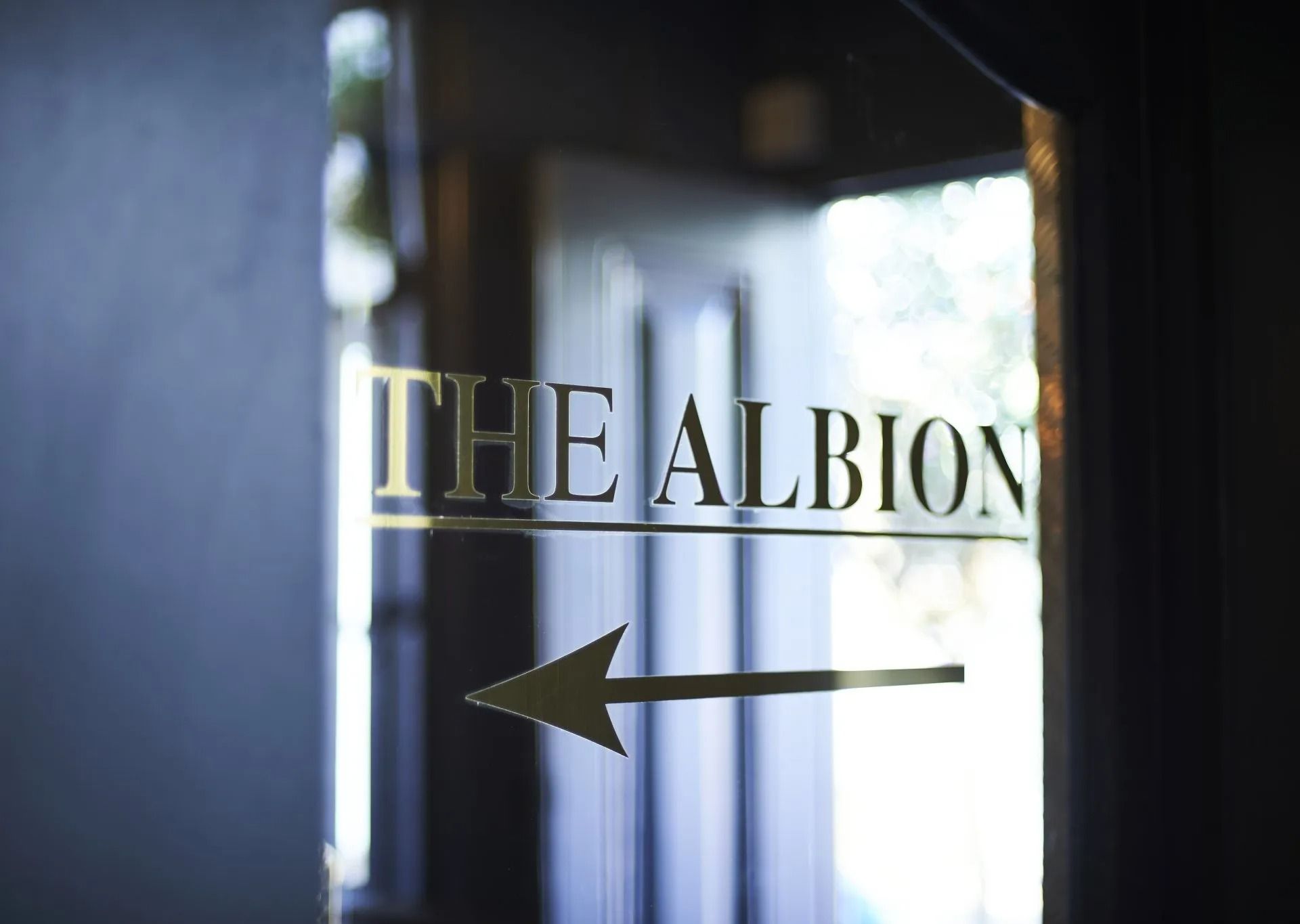 The albion pub clifton