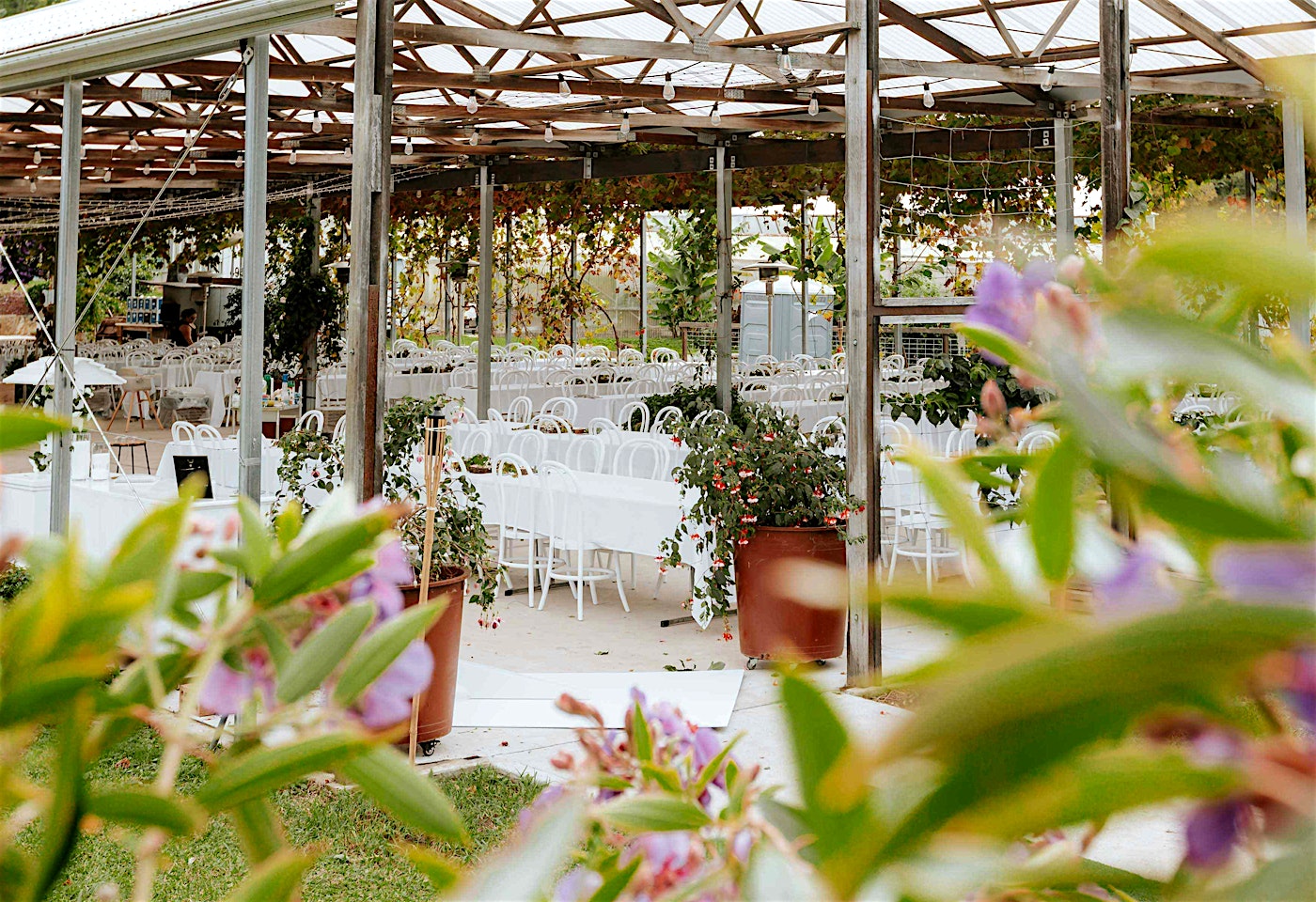 Timber & Stone, Timber & Stone Glenorie1