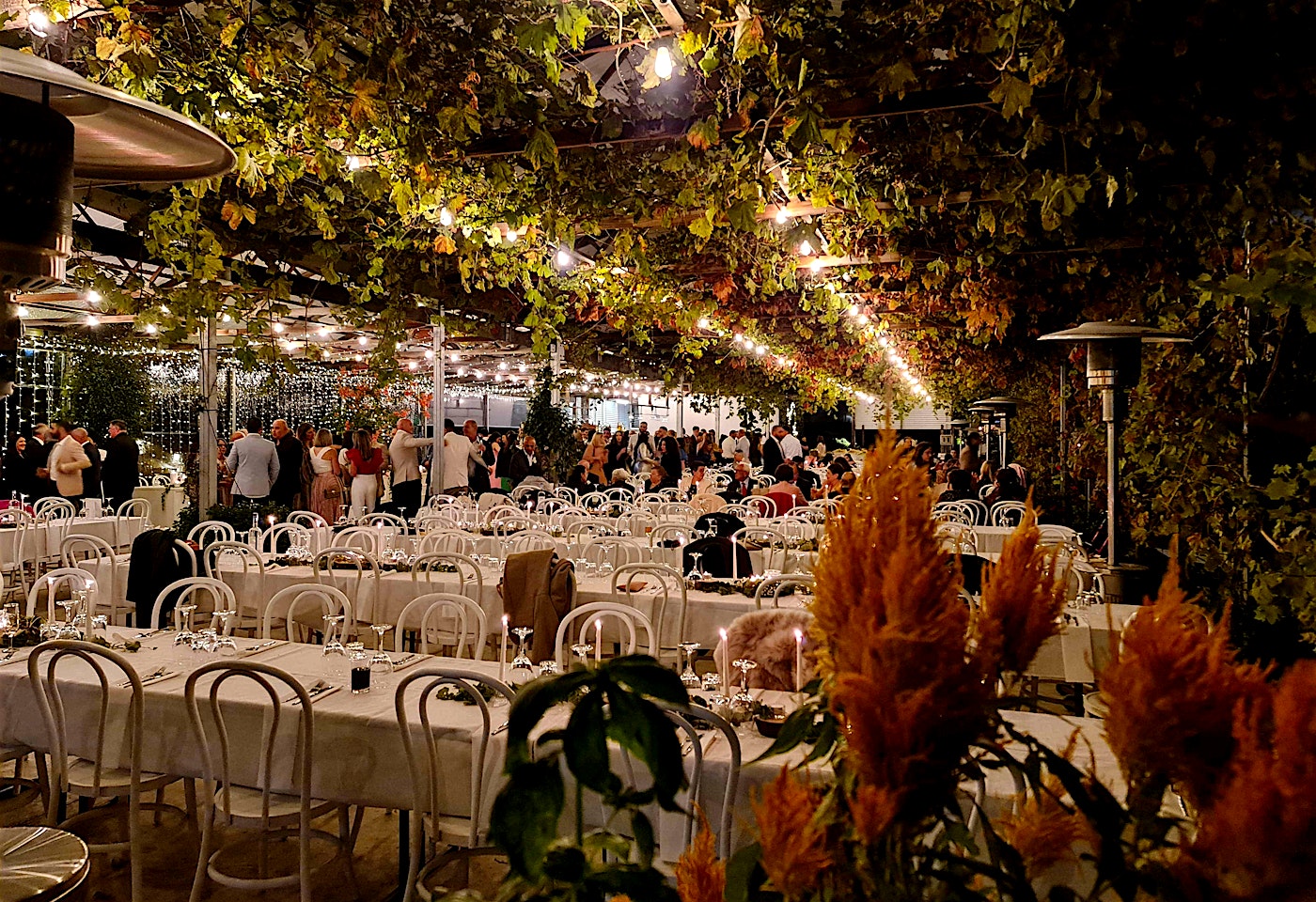 Timber & Stone, Timber & Stone Glenorie image 3