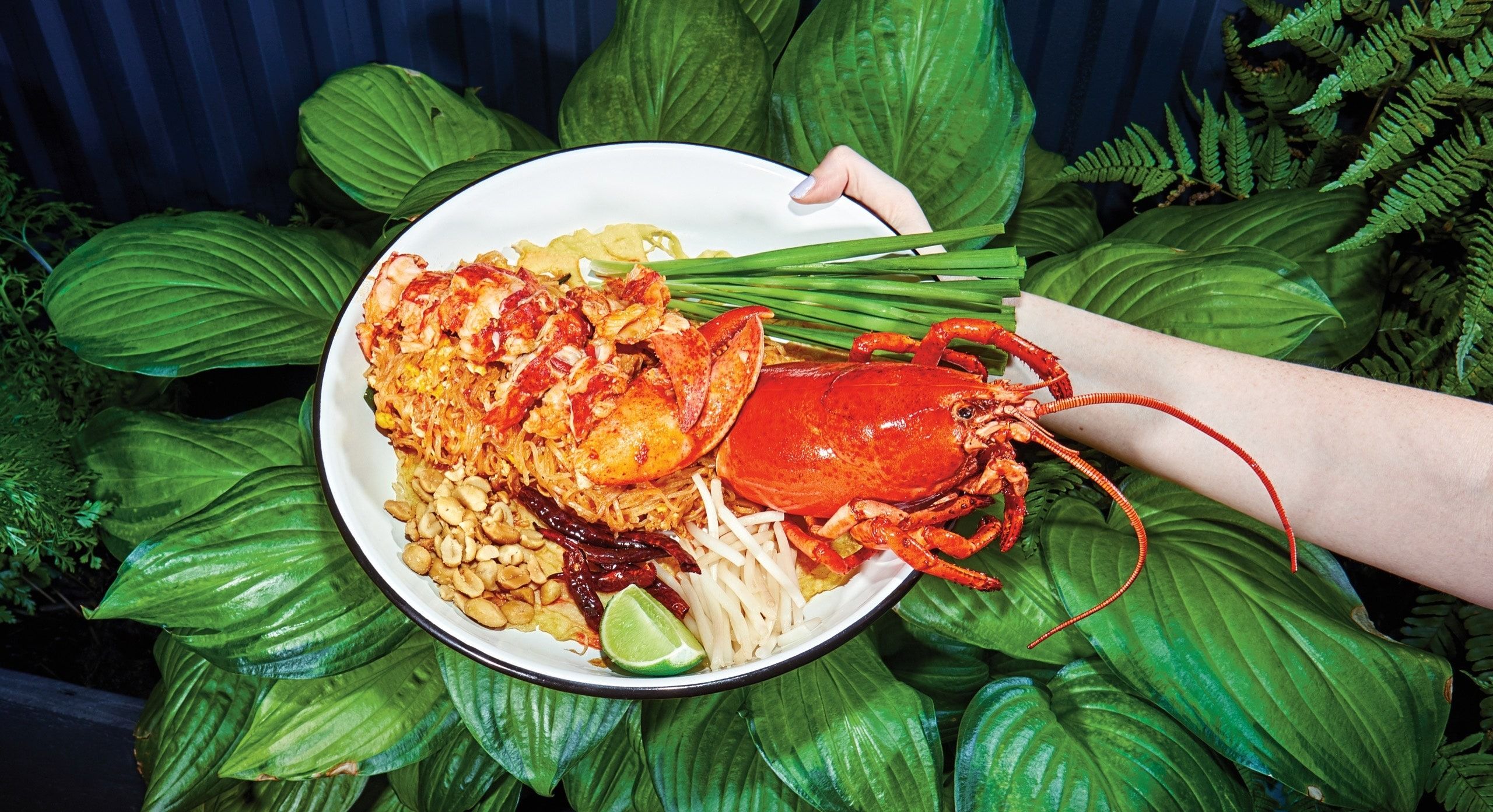 A home-style Thai birthday meal in the LES: Wayla  image 3