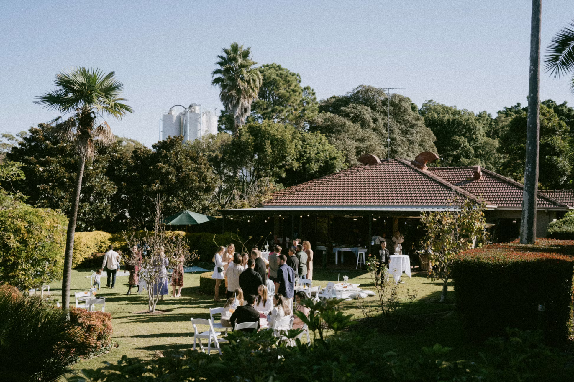 Will and Mikes, Will and Mikes1