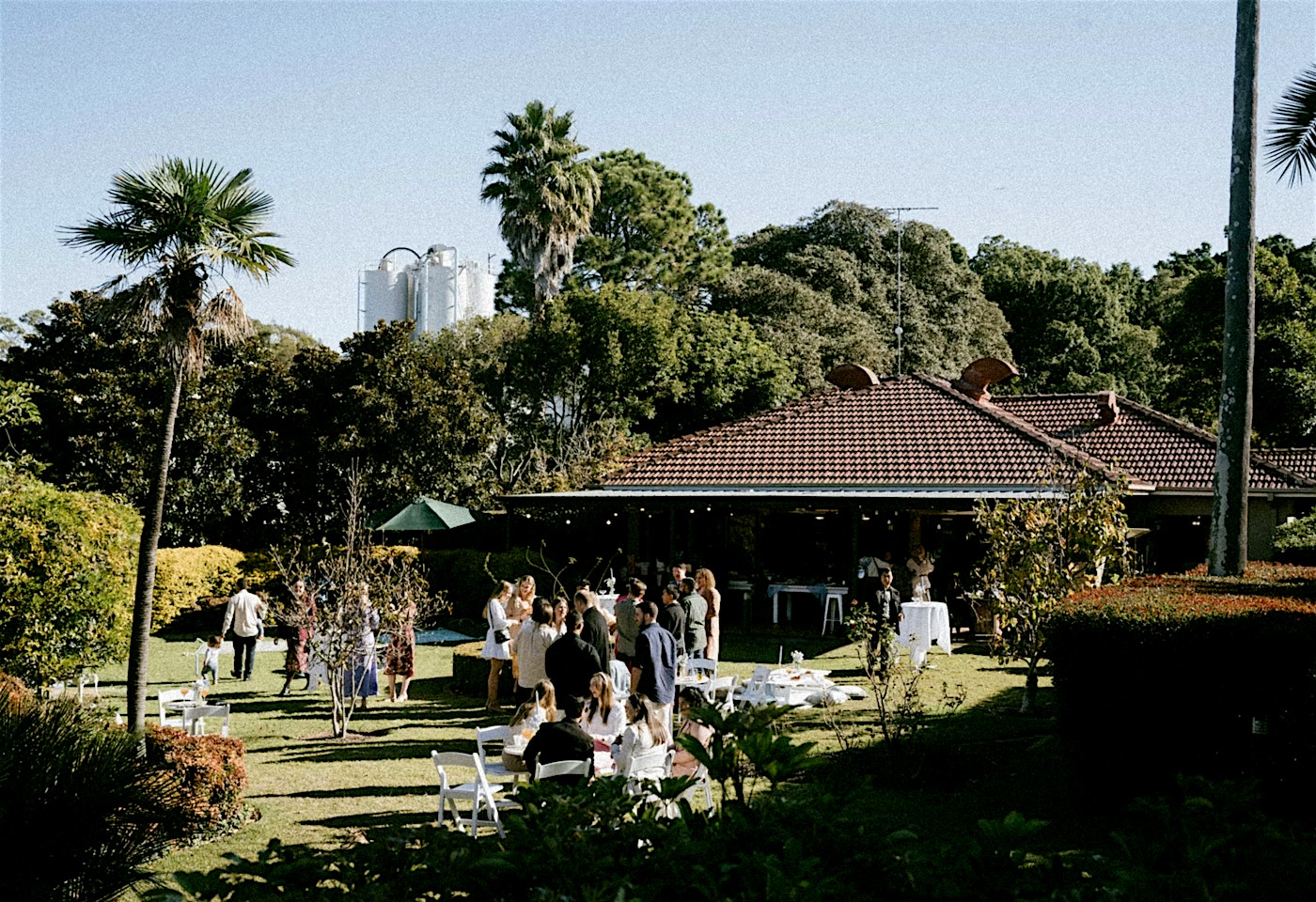 Will and Mikes, Will and Mikes1