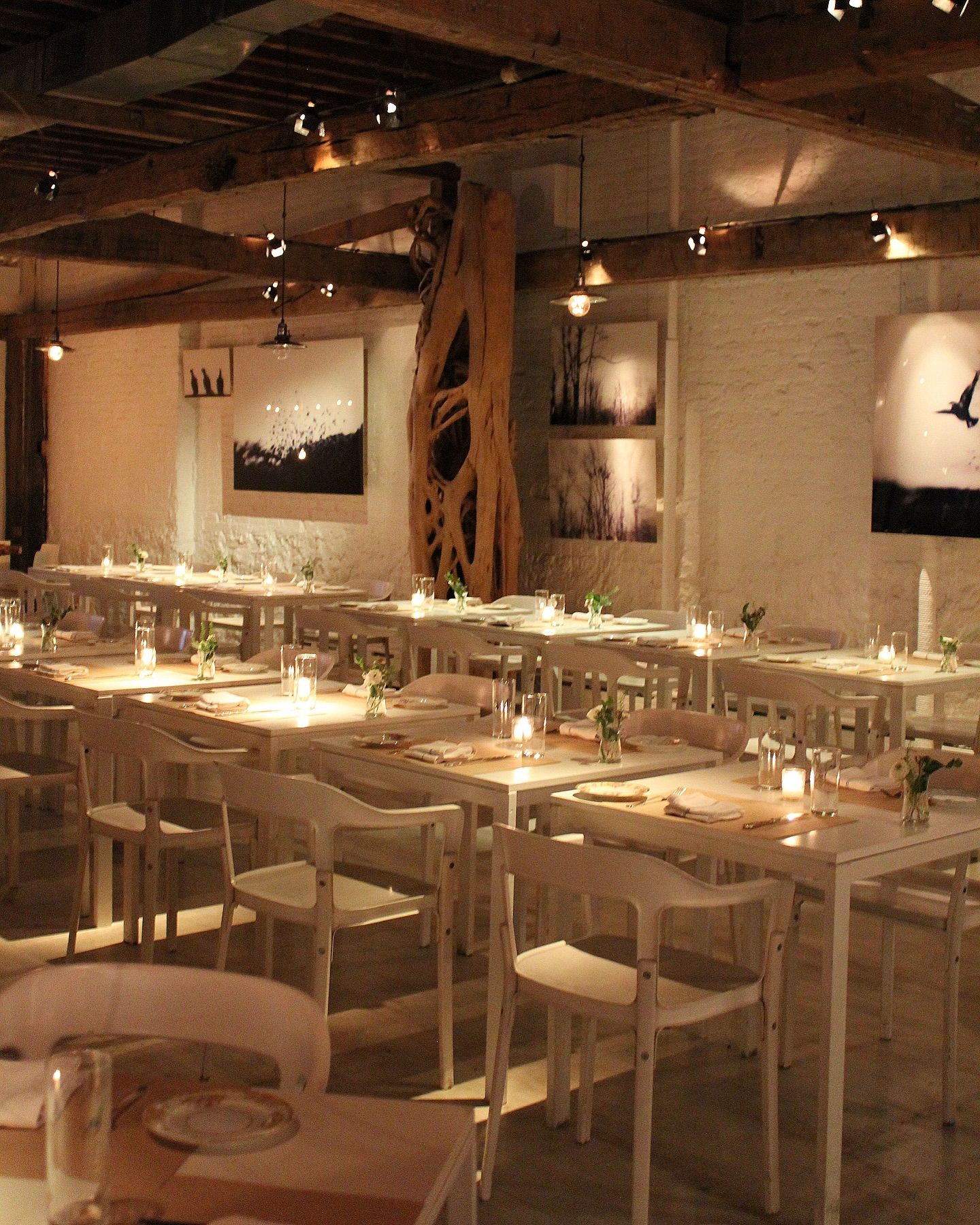Farm-to-table private dining in New York: ABC Kitchen 1