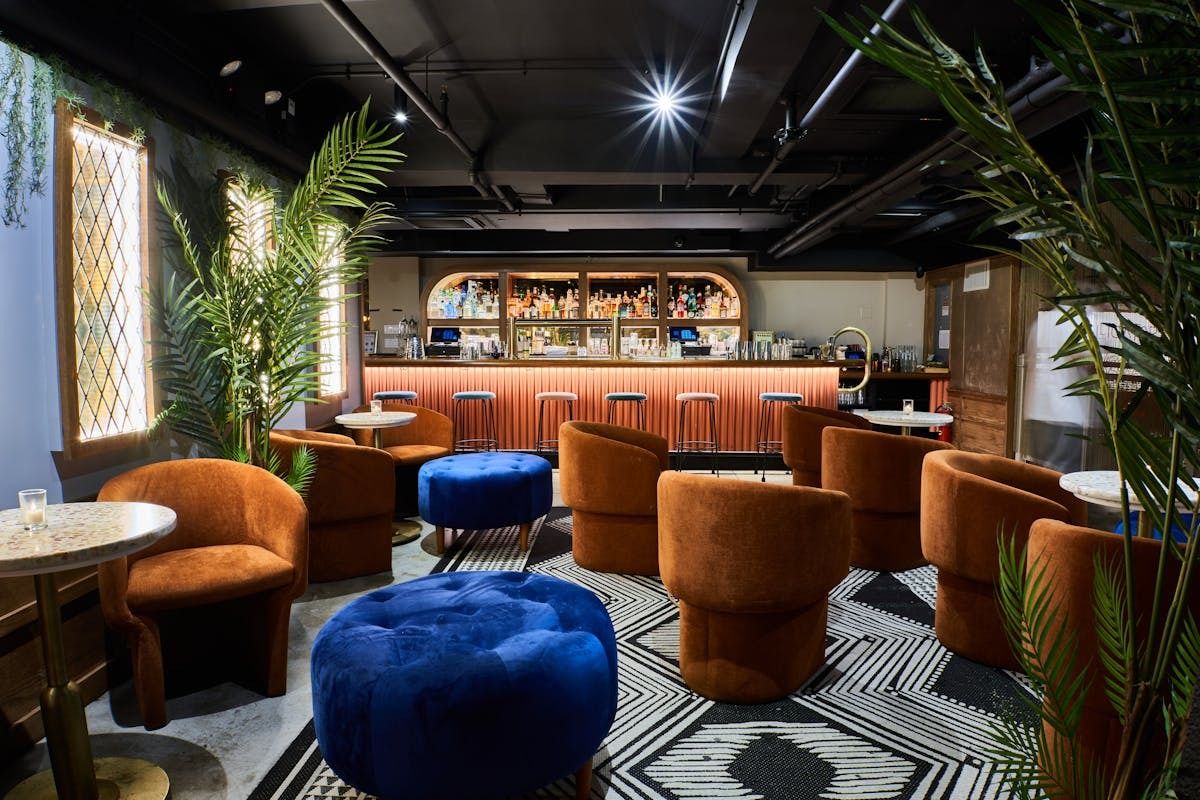 Throw a Big Easy party in the Big Apple: Alligator Pear image 2