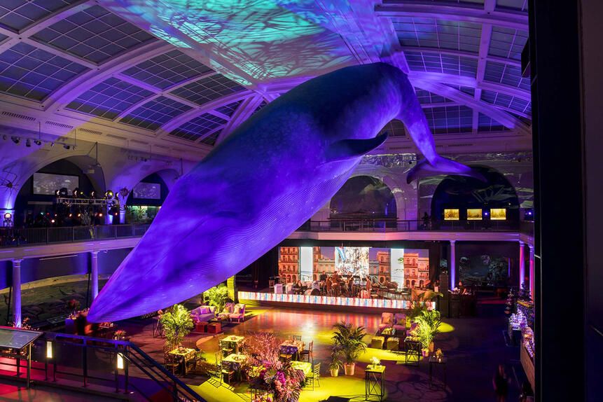 american museum of natural history upper west side party venue nyc
