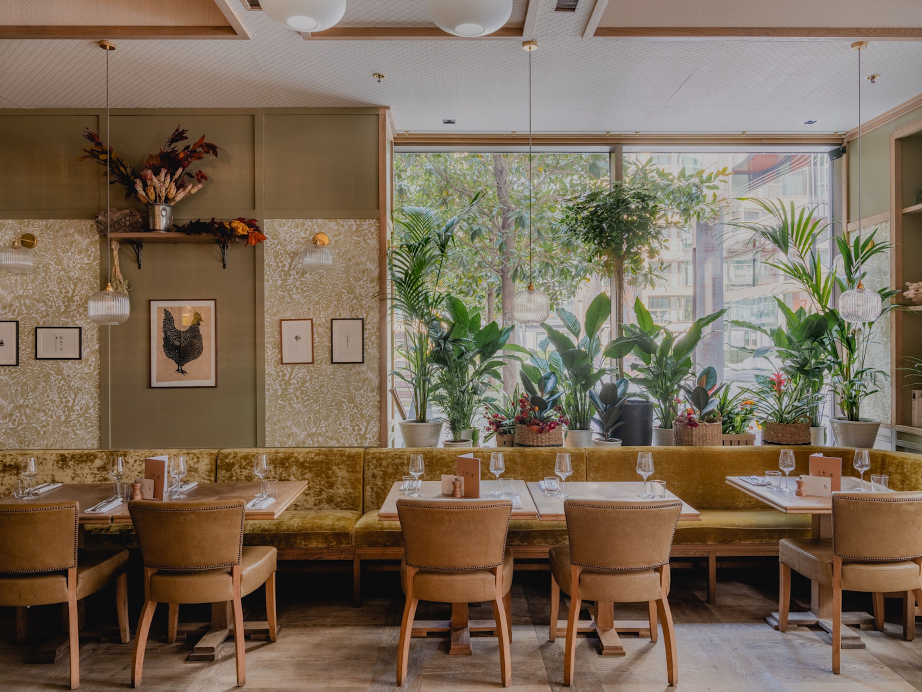 arber garden soho bar