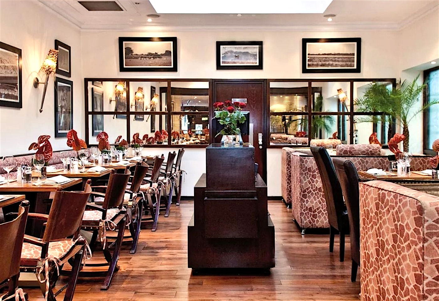 bbar best victoria bars 1