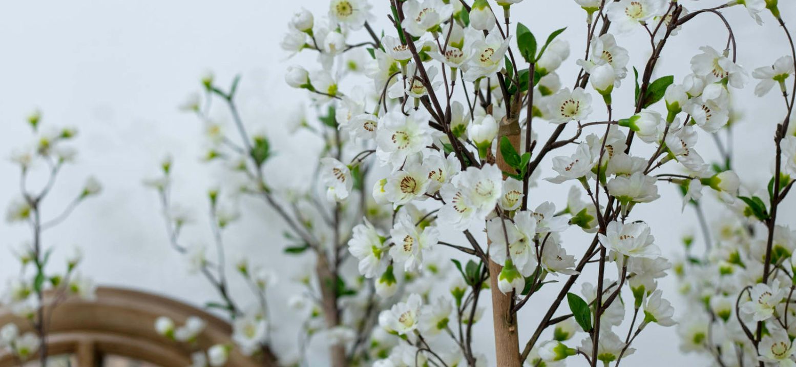 bluebird chelsea birthday venues london