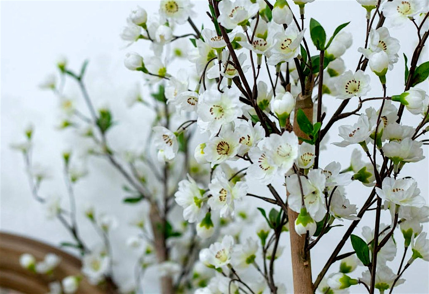 bluebird chelsea birthday venues london