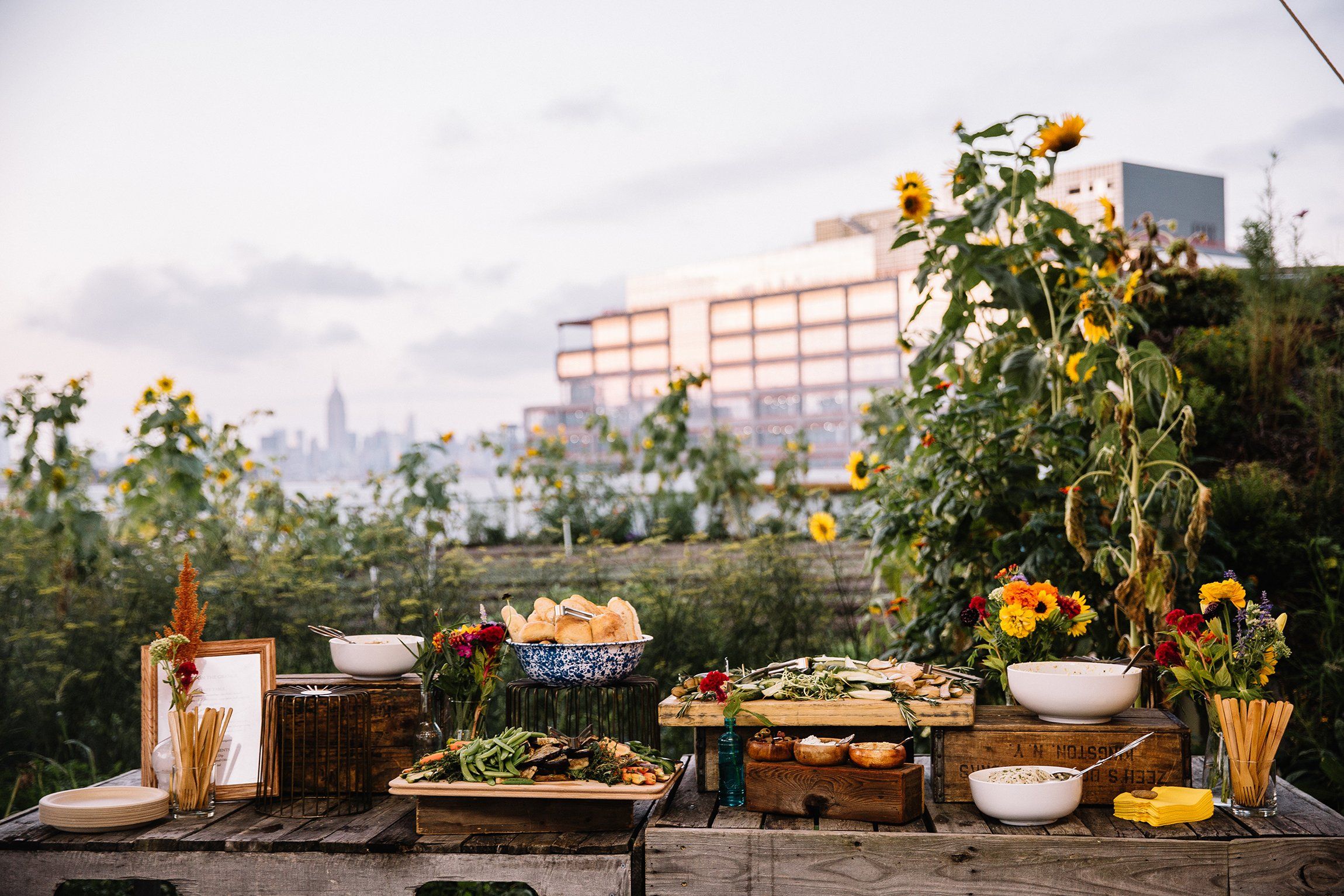 A farm where even New Yorkers can feel at home: Brooklyn Grange image 2
