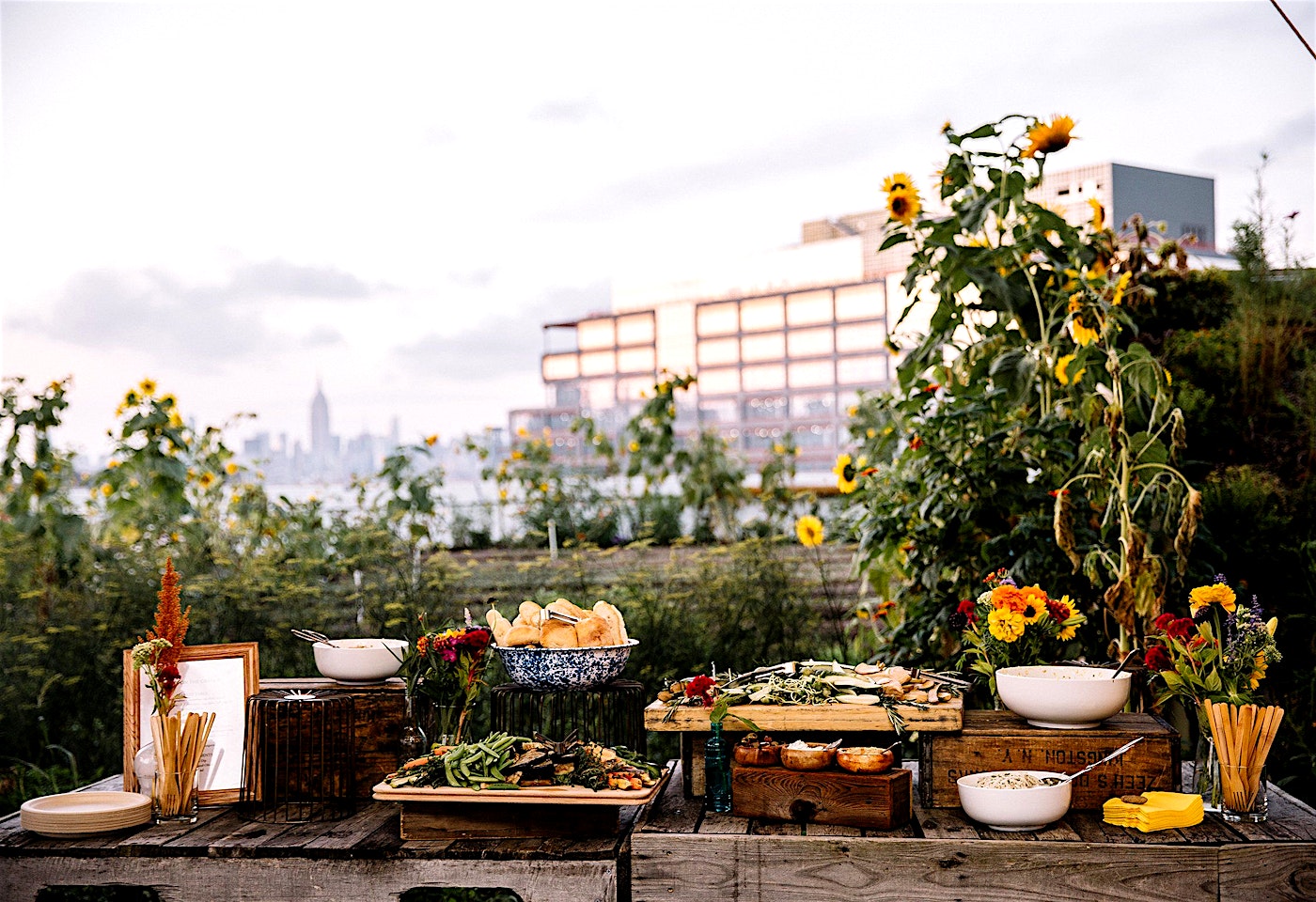A farm where even New Yorkers can feel at home: Brooklyn Grange image 2