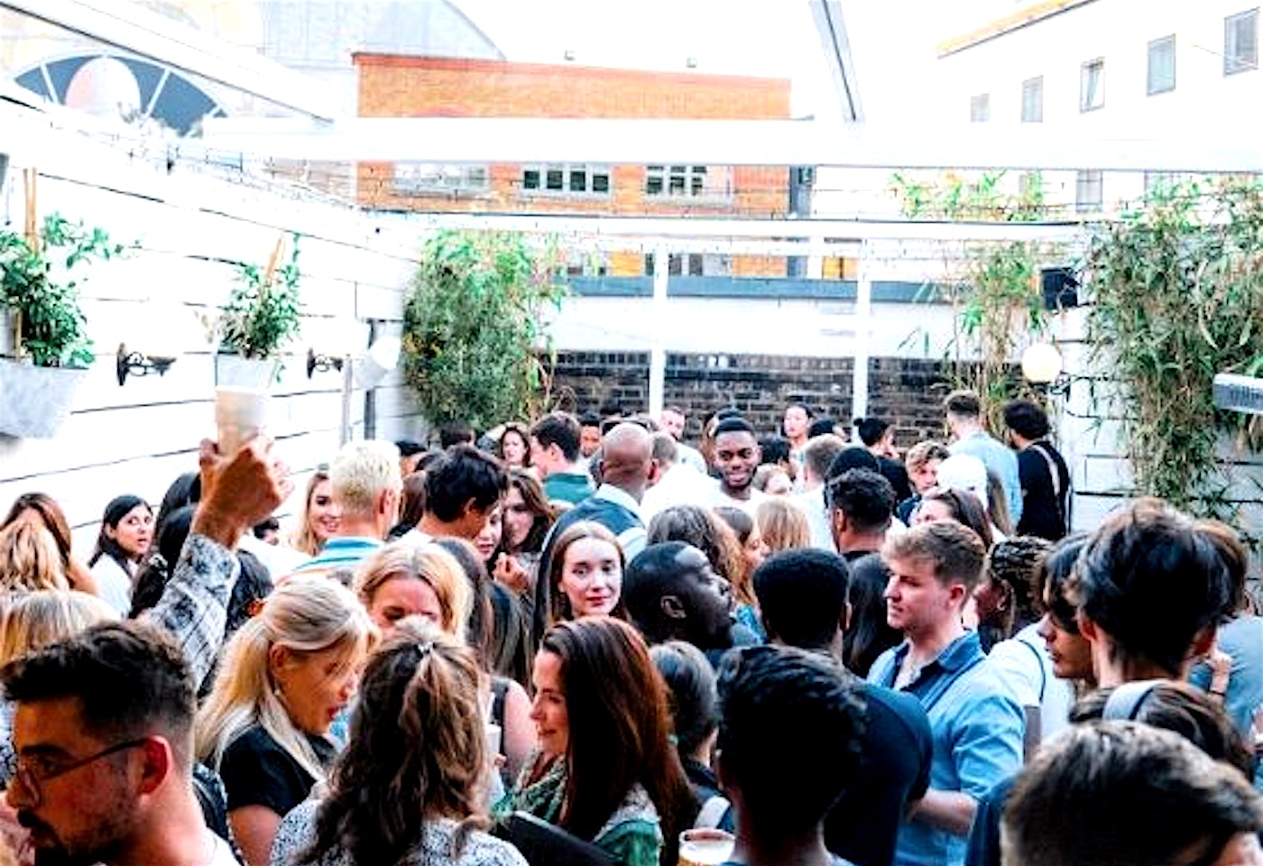 A mini tropical paradise: Bubba Oasis image 2