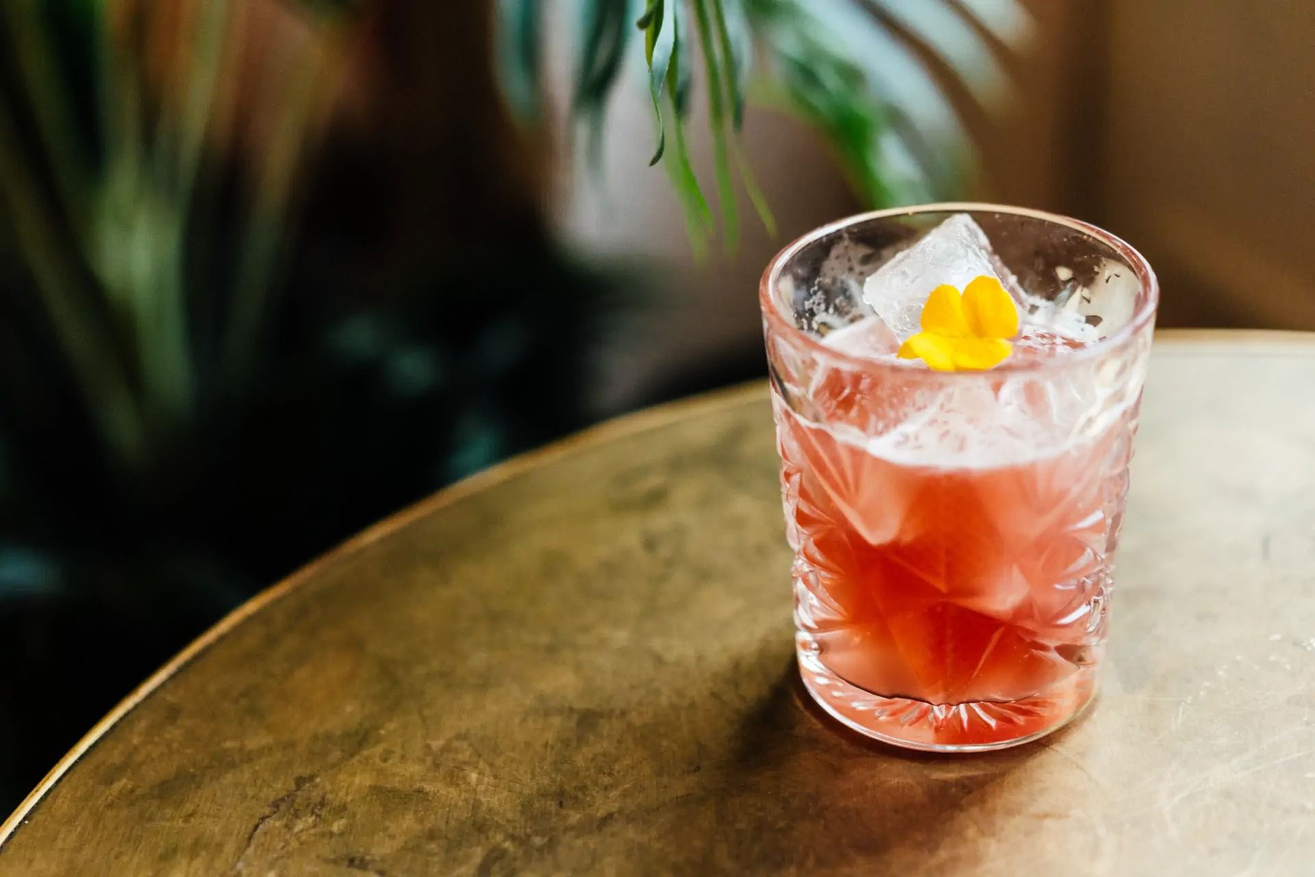 a cocktail at cellar at kindred hammersmith london bar