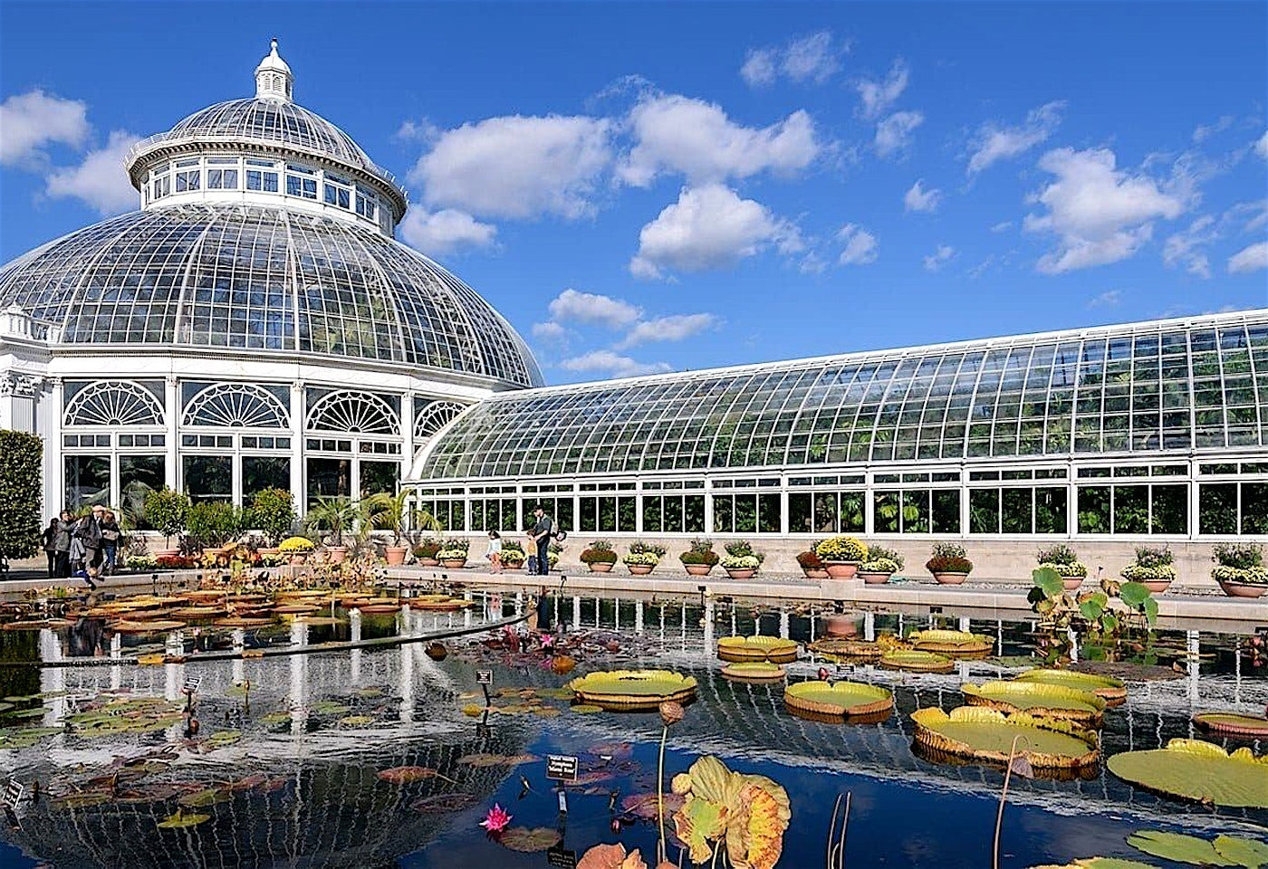 A children's birthday party in nature's playground: New York Botanical Garden 1