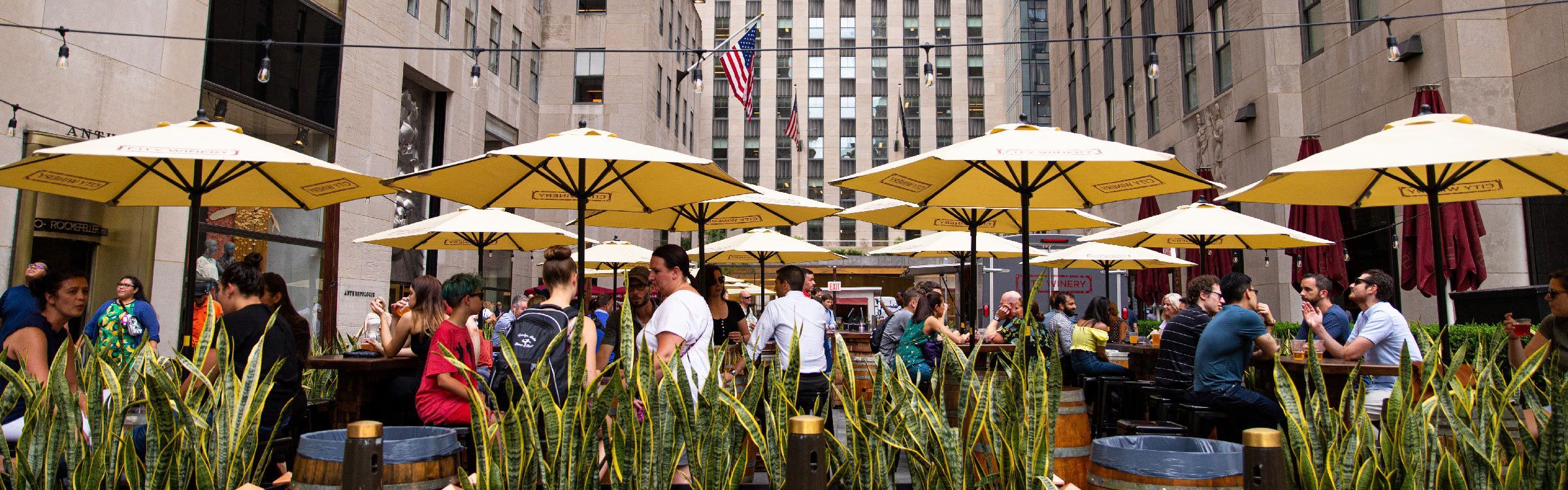 Try to name a more iconic Midtown wine bar: City Winery Rockefeller Center  image 3
