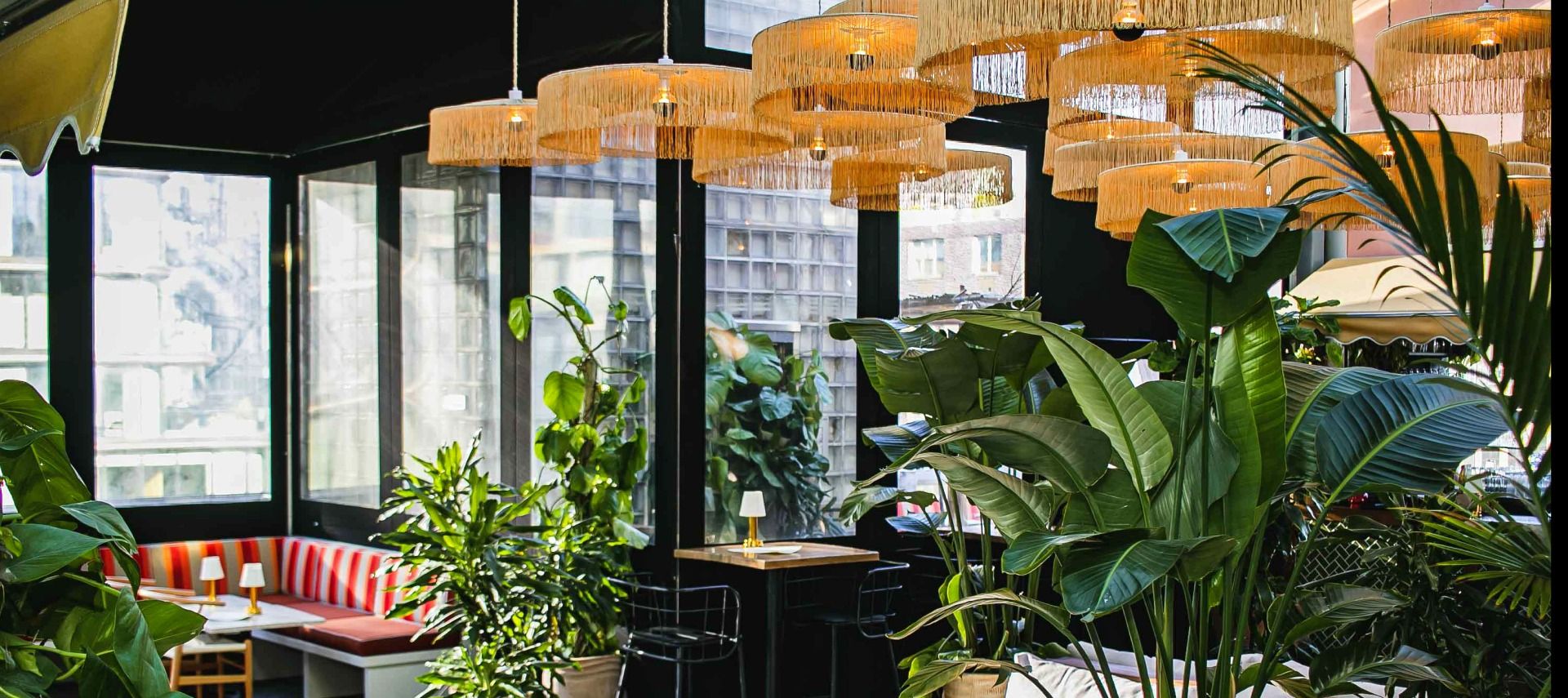 Costal over concrete for the summer: Creature's at Selina Rooftop  image 3