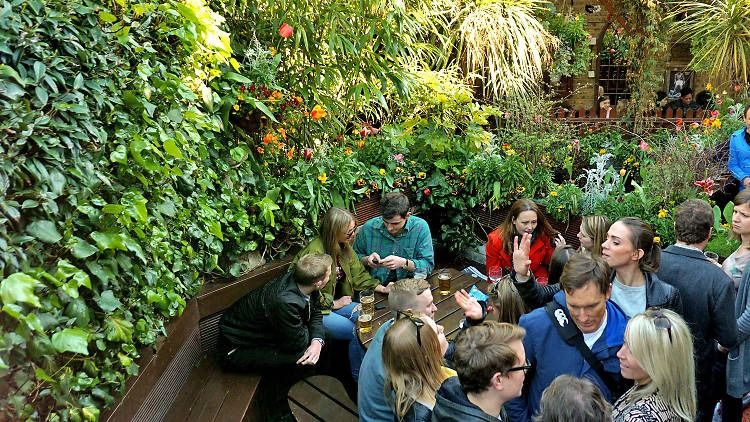 A London beer garden in a famous North London pub: The Faltering Fullback image 2