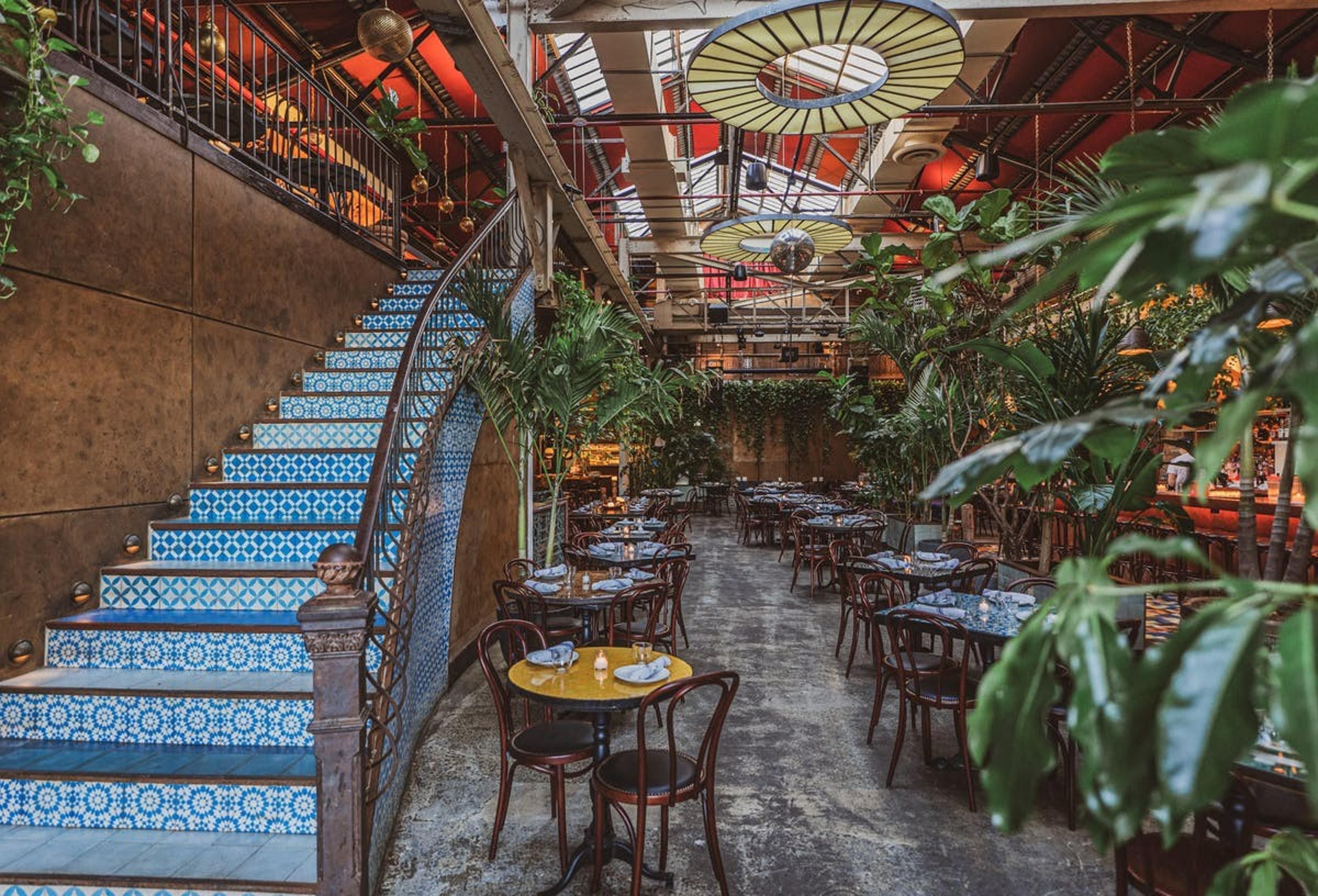 fandi mata birthday restaurant brooklyn dinner brunch